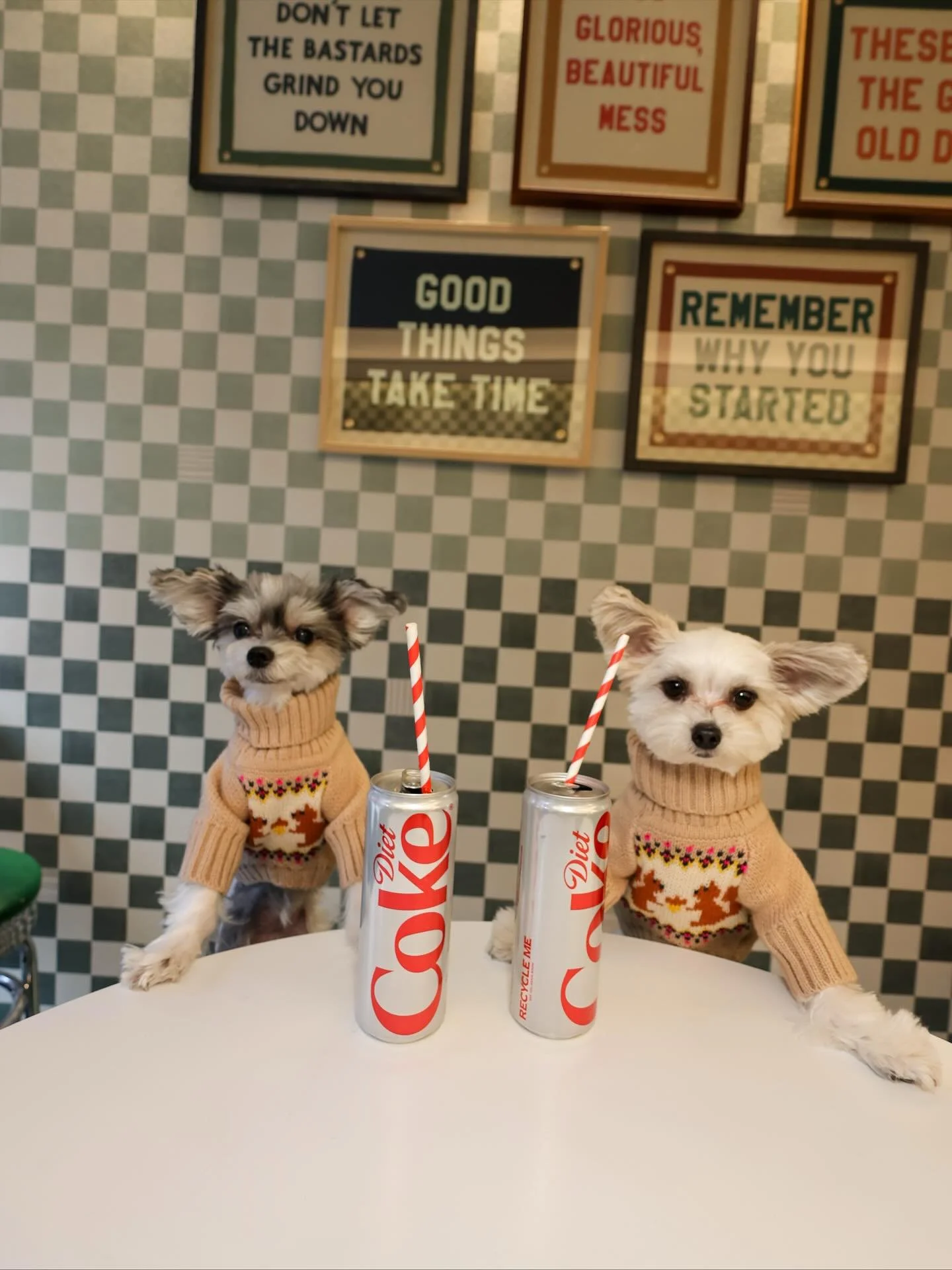 Publicist said no caffeine&hellip; we said no comment 💋🐾

#cutedogs #dogsofnyc #dogsofinstagram #breaktime