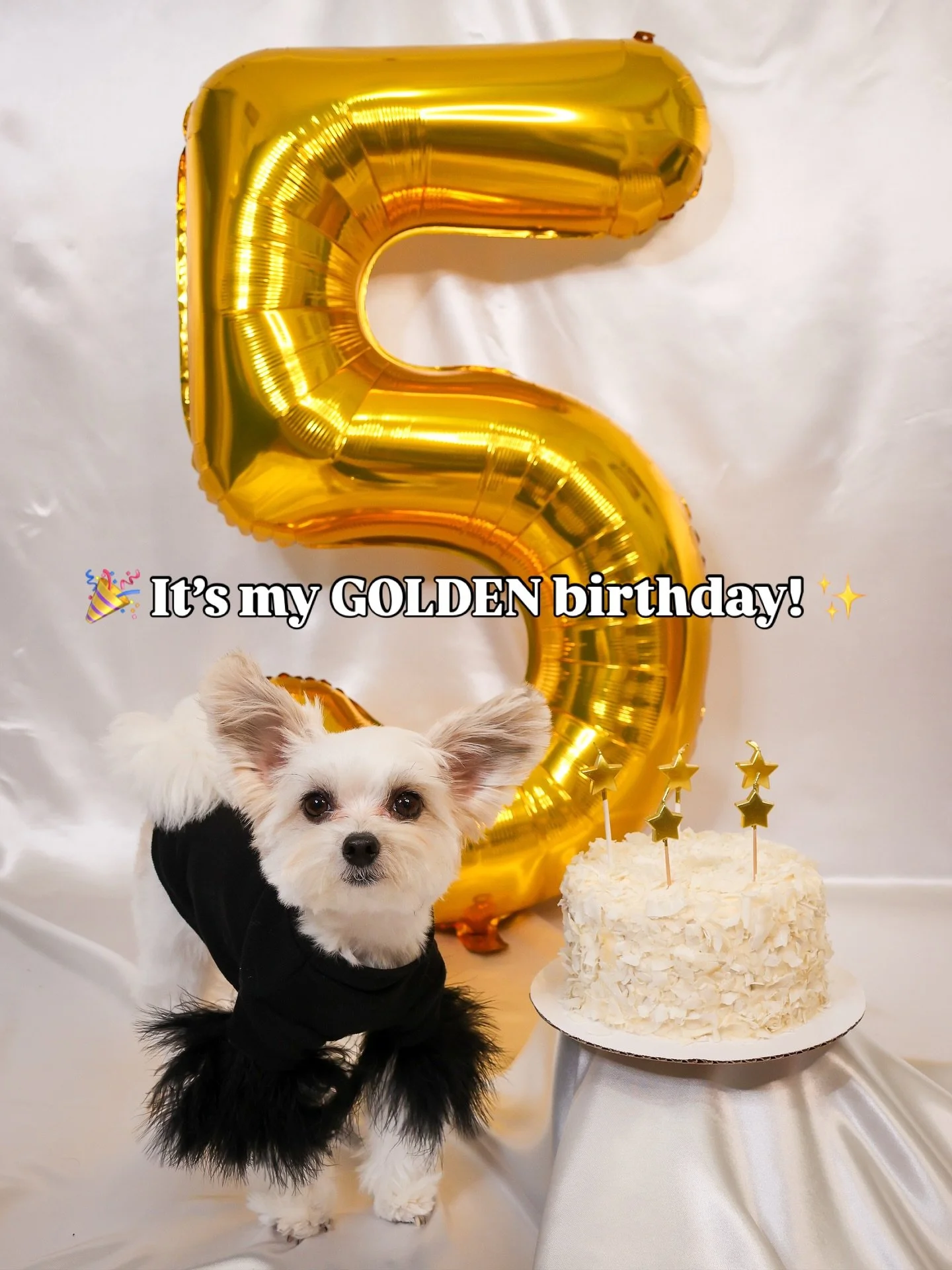🌟 Five on the Fifth, it&rsquo;s my golden birthday! ✨ 
#happybirthdaytome🎉