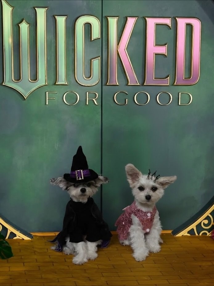 thank you @wickedmovie and @universalpictures 🧙&zwj;♀️🫧💚🩷🐶 #wickedforgood #wickedmovie