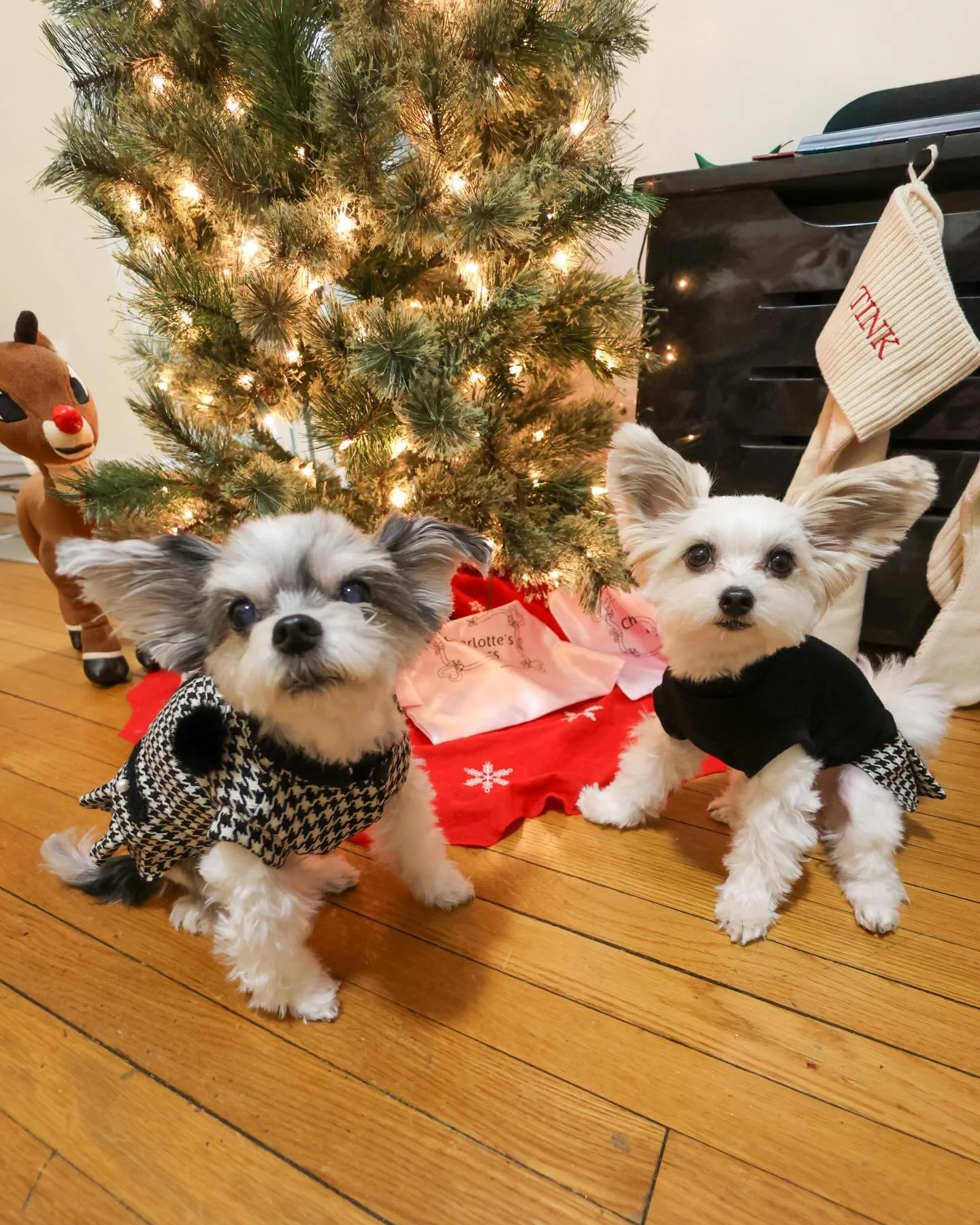 ✨ Fashion show time with our presents from Italy!
Fine designer goods from @charlottesdressitalia are the stars of the season. 🇮🇹👗💫🎄🎁