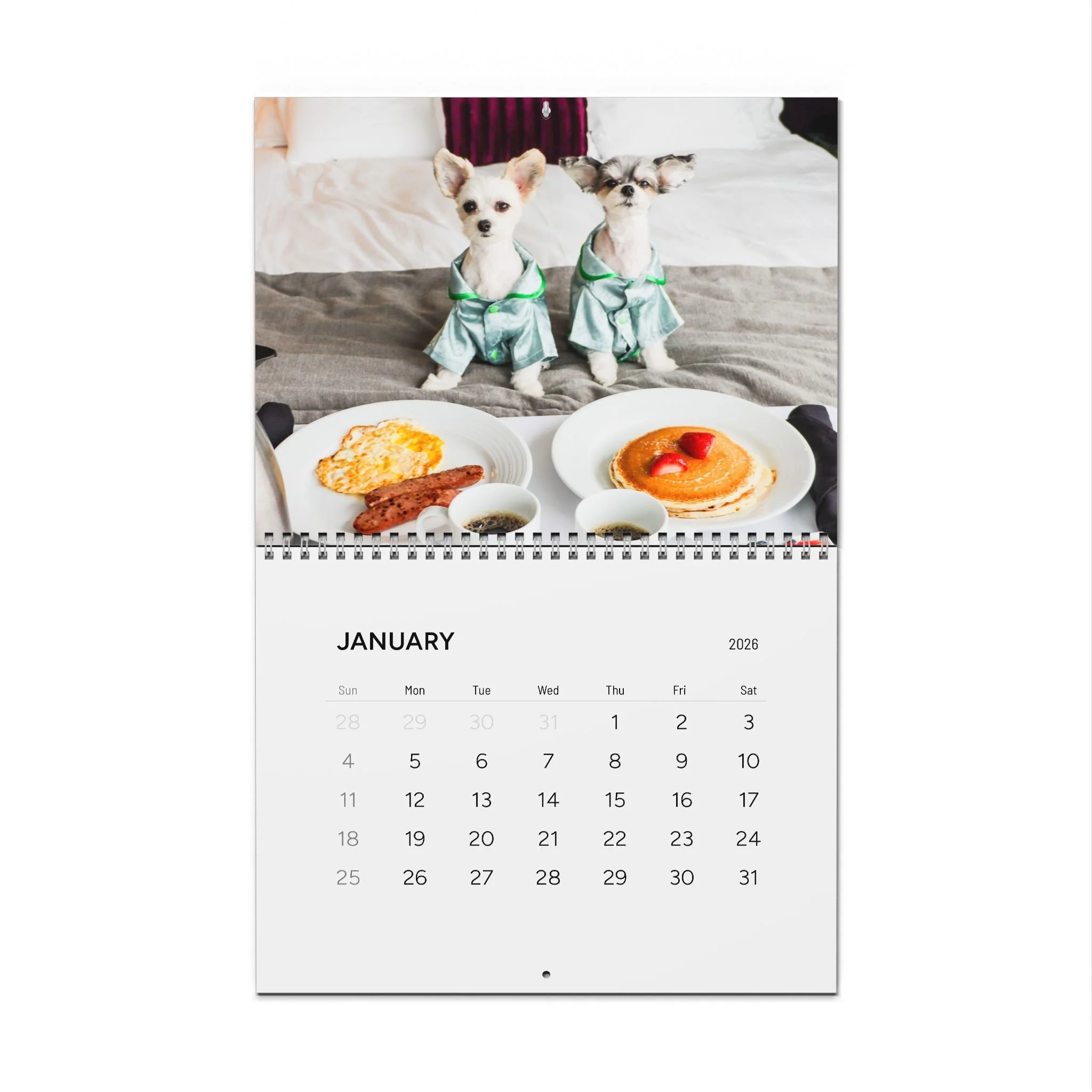 ff2642b45667a9ebd63aec51936e0cfb