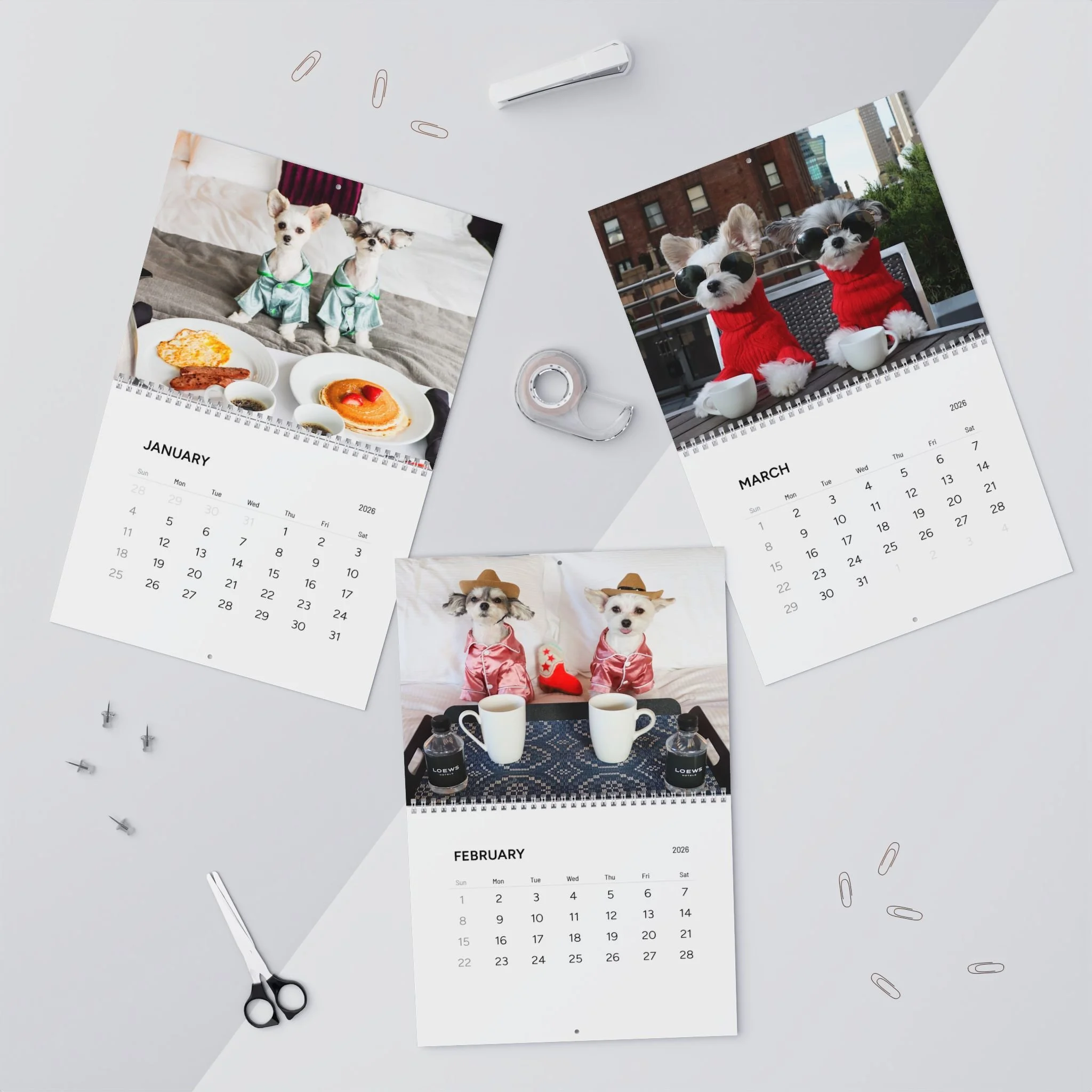 51b84f185e7f71d4a6cc525372560a02