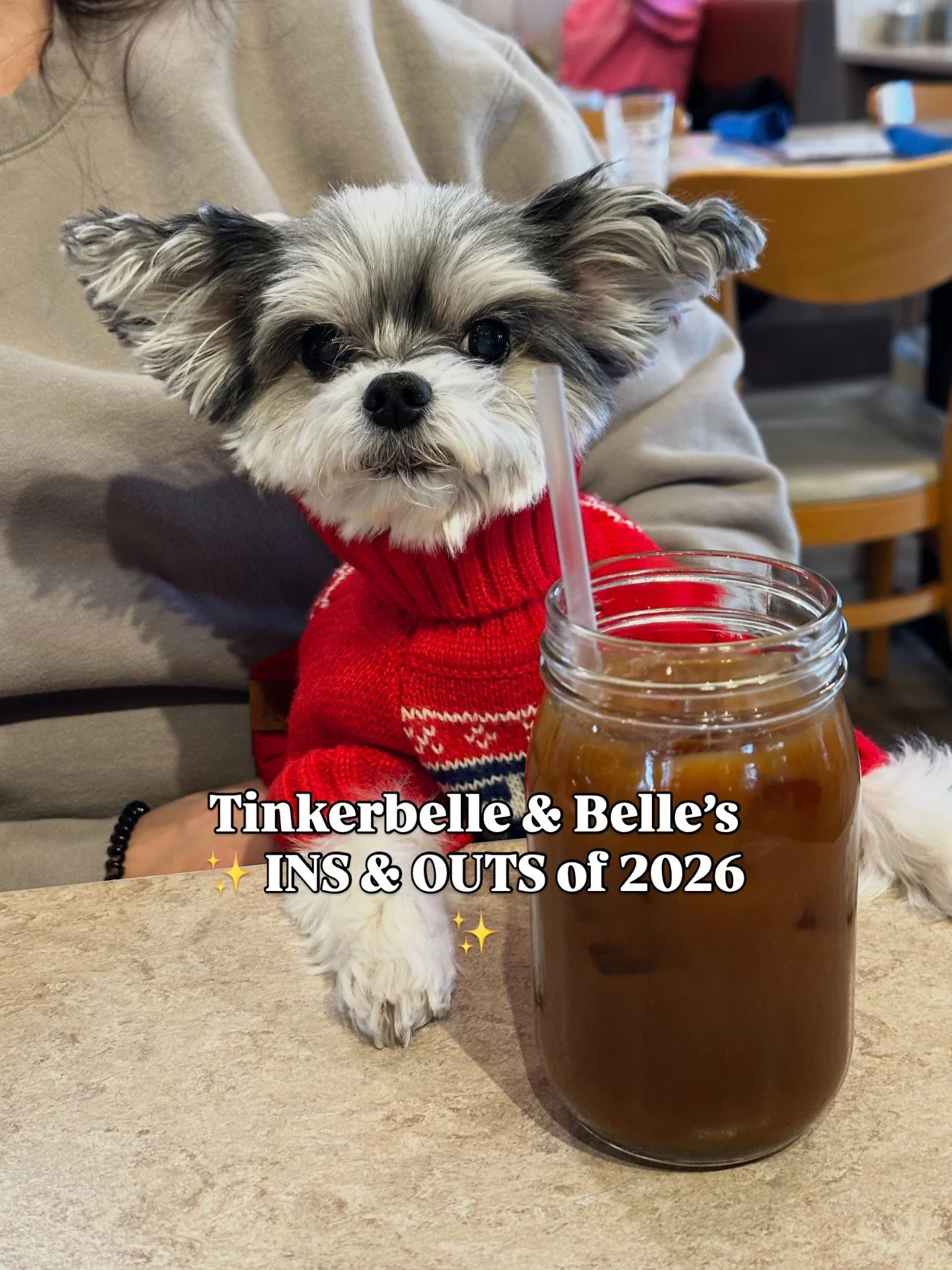 2026 Energy:
✨ More naps
✨ More treats
✨ More love
✨ Zero stress
Signed,
Tinkerbelle &amp; Belle 🐶🩷 
#happynewyear