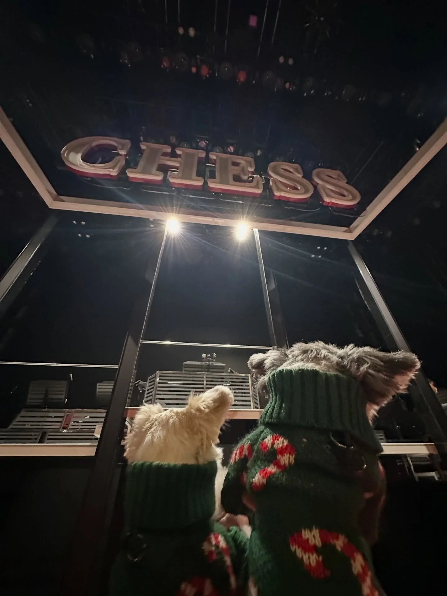 PAW-n to E4 @chessbway 🐾♟️🎭