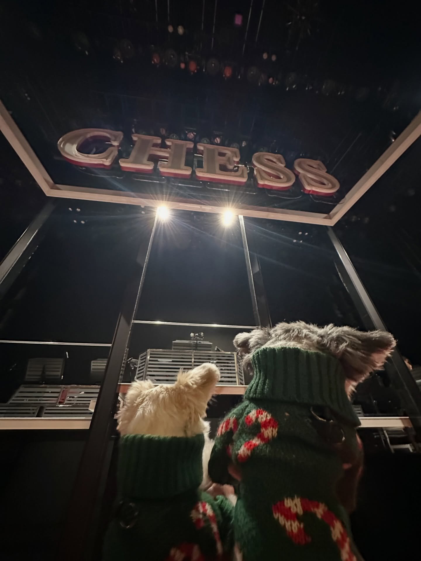 PAW-n to E4 @chessbway 🐾♟️🎭