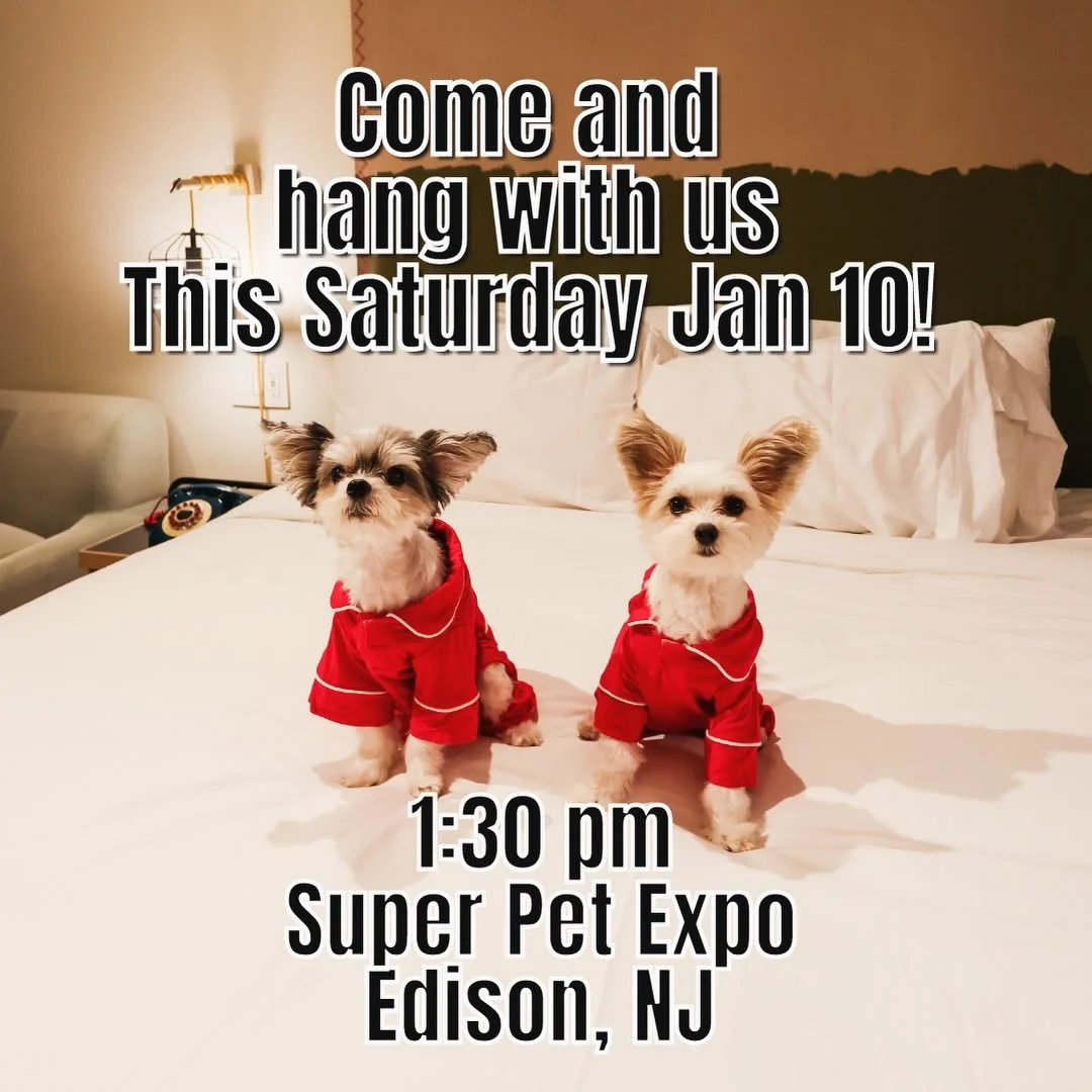 Exciting news!  We will be appearing @superpetexpo this Saturday January 10th in Edison , NJ. 
Come join us - take some selfies and have a fun Saturday 🎉
⏰1:30 pm!
Tickets can be purchased online in advance @superpetexpo 
See you there 🐶🥰

#superp