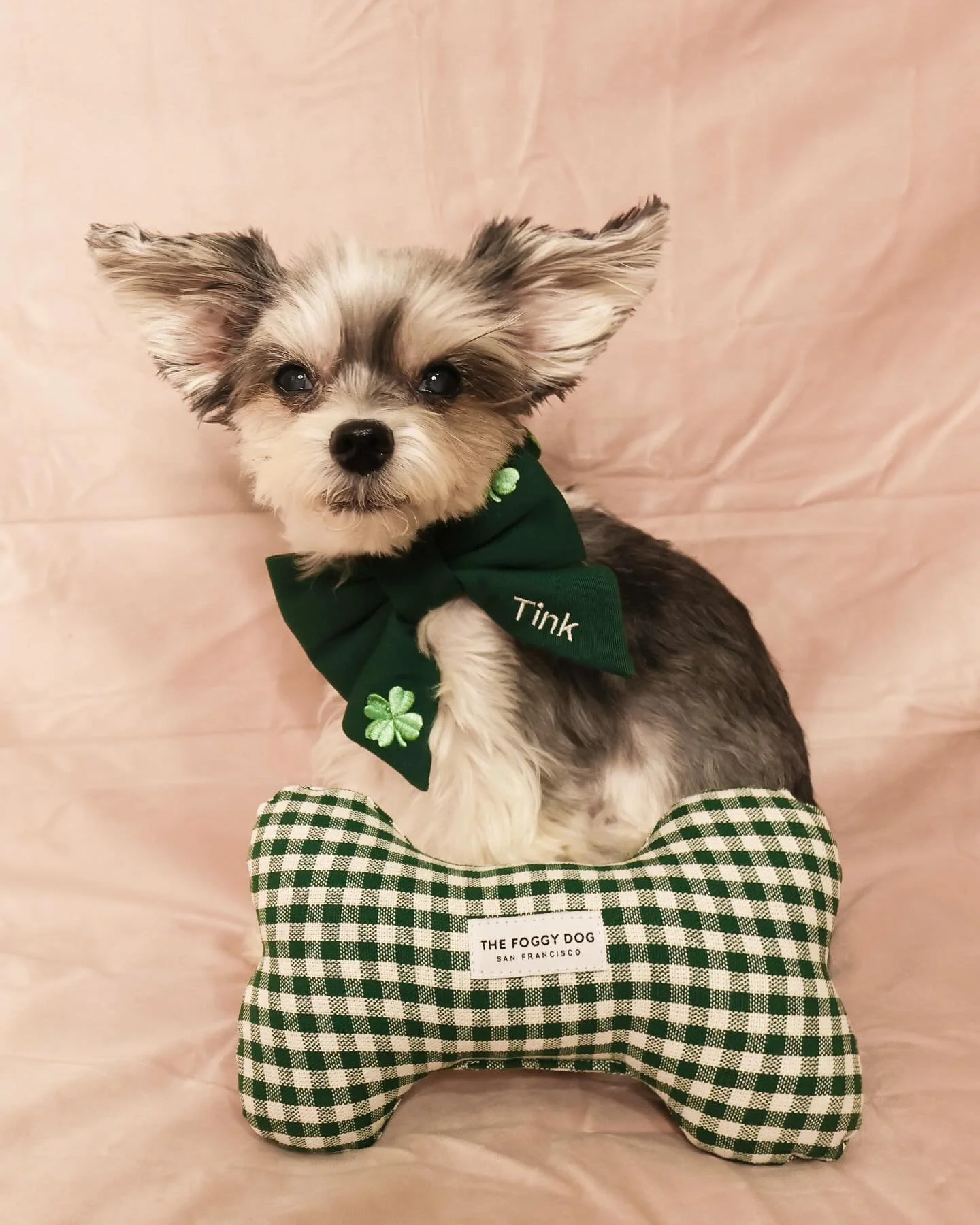 Not chasing rainbows&mdash;we ARE the pot of gold 🍀🐾 #leprechaunpups 

🎀🦴 @thefoggydog 

#dogsofinstagram #papitese #dogsofnyc
