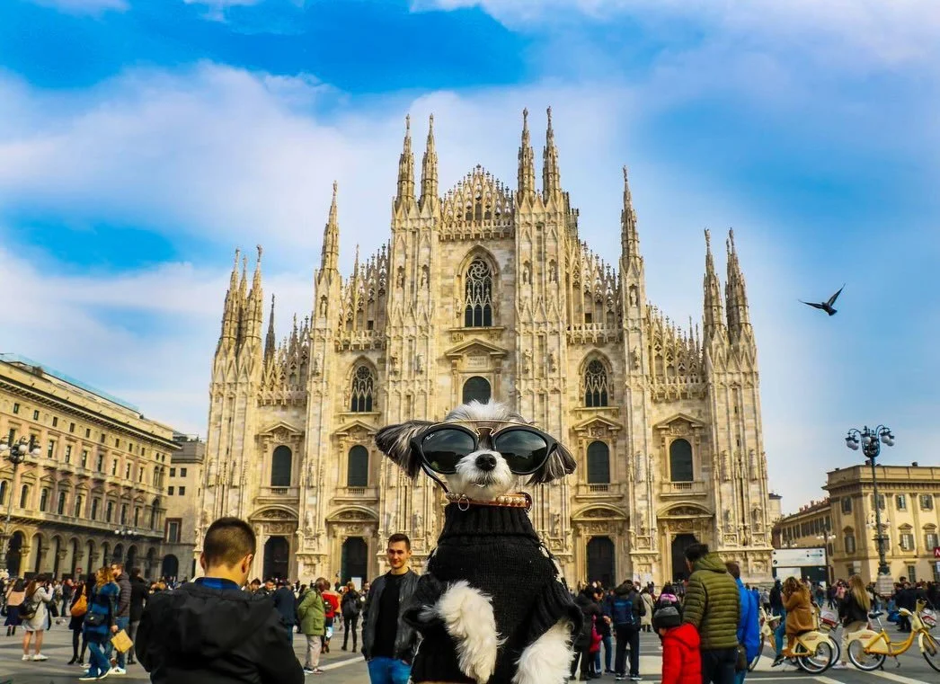 My epic memories of Milan Italy - Tinkerbelle 🇮🇹🍕⛪️🖼️

1 - The Duomo Milan 
2 - The Last Supper Leonardo da Vinci
3 - epic breakfast @nhcollection @nhow @nhow.milano 
4 - hydration is a must 

#travelingdog #milan #dogsofinstagram