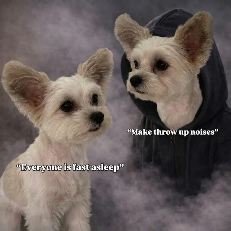 Even Baby Belle has a dark side 😈🫶🏽🐶