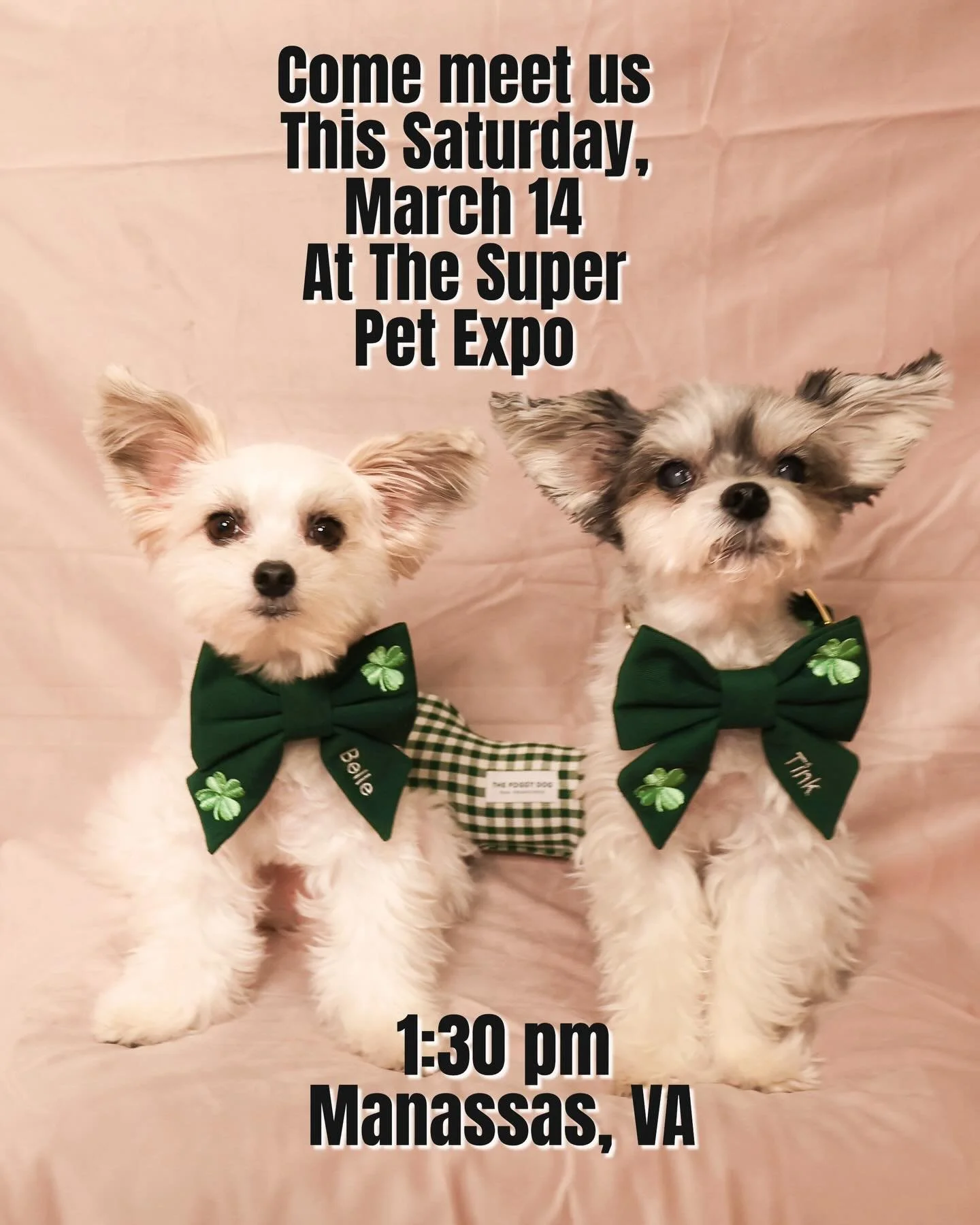 Exciting news!  We will be appearing @superpetexpo this Saturday March 14th in Manassas, VA. 
Come join us - take some selfies and have a fun Saturday 🎉
⏰1:30 pm!
Tickets can be purchased online in advance @superpetexpo 
See you there 🐶🥰

#superpe