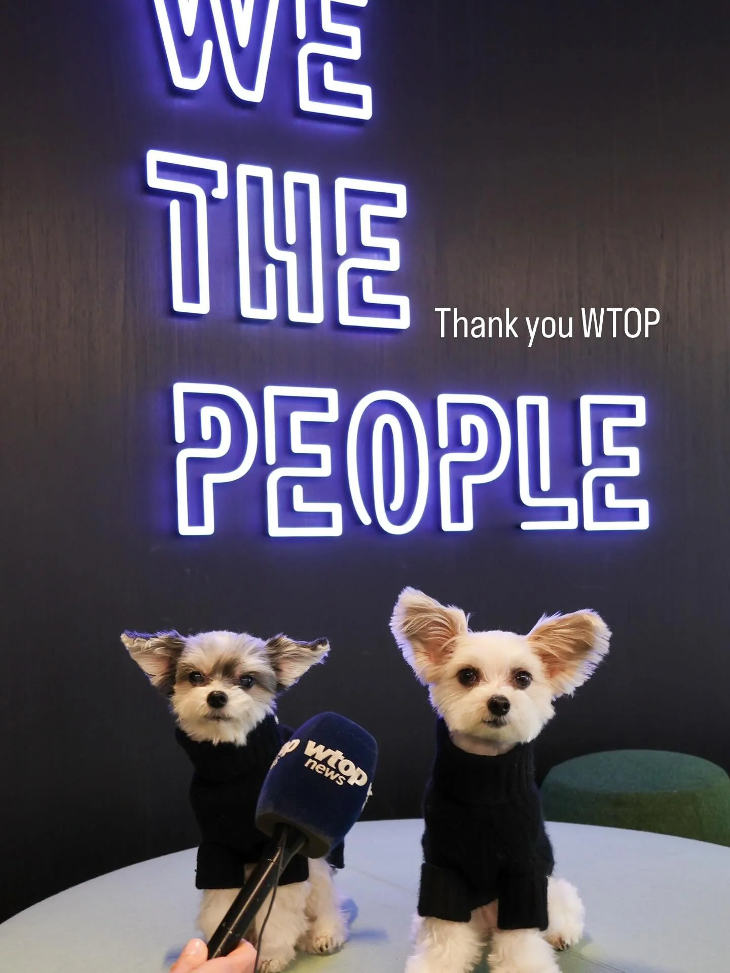 Thank you @wtopnews for such a fun afternoon.  We loved the touring and meeting the entire @wtopnews  team 💕🐶

#wtopnews #dogsofinstagram #dogsofdc #traveldog #presstrip
