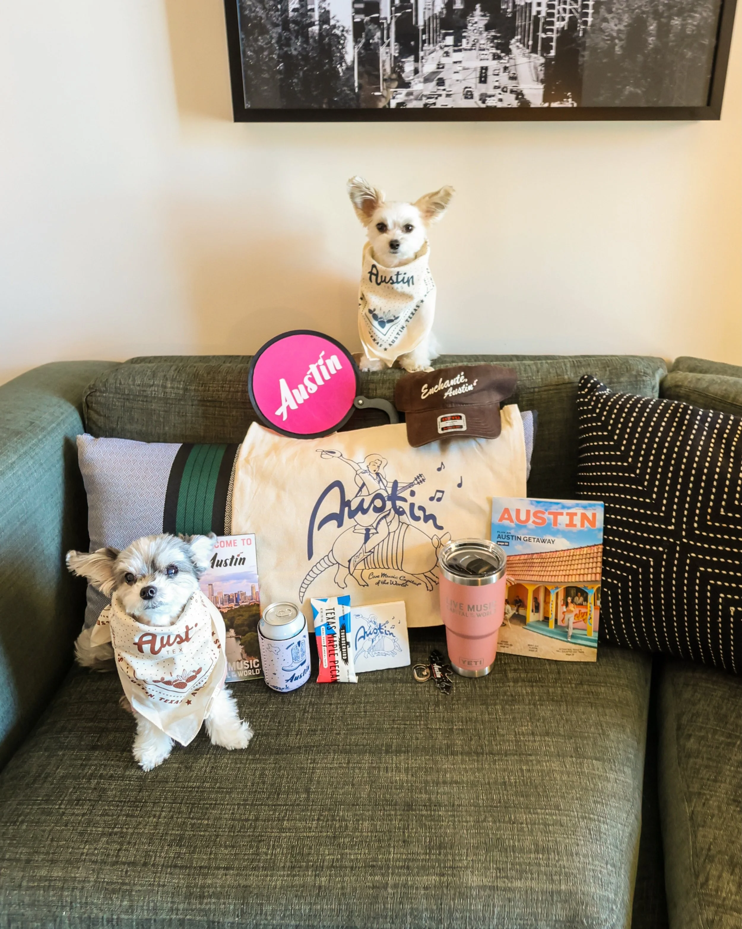 Lone star state of mind with @visitaustintx 🤠🌟🐶 #visitaustintx #visitaustin #dogfriendly #dogswhotravel #bonvoyagebelles