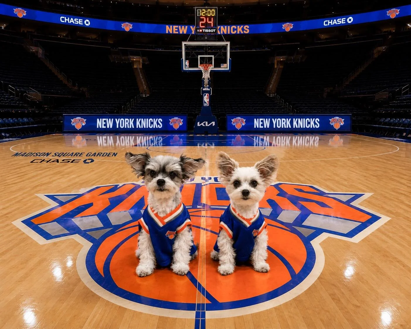 🏀🧡💙 EASTERN CONFERENCE CHAMPS, woof woof 💙🧡🏀
The New York Knicks understood the assignment&hellip; and so did we. NYC is shining brighter, louder, and more iconic tonight. Cue the confetti!

 #KnicksWin #EasternConferenceChamps #dogsofnyc