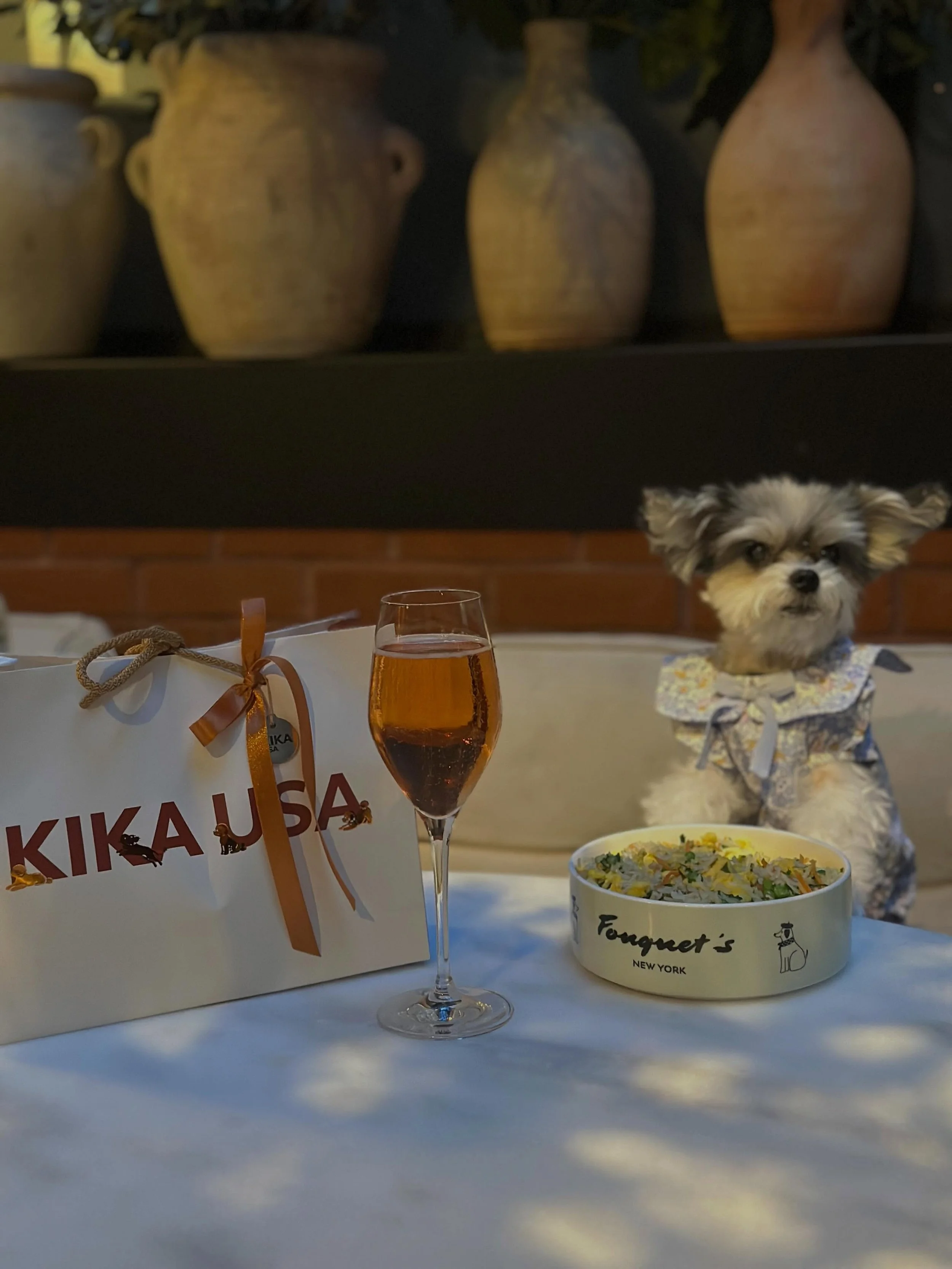 Dinner @fouquets.newyork is exactly where we belong 💎✨

@kika_usa_official x Fouquet&rsquo;s was nothing short of spectacular &mdash; an unforgettable evening filled with luxury, glamour, gourmet dining, and every fabulous thing a pup could ever dre