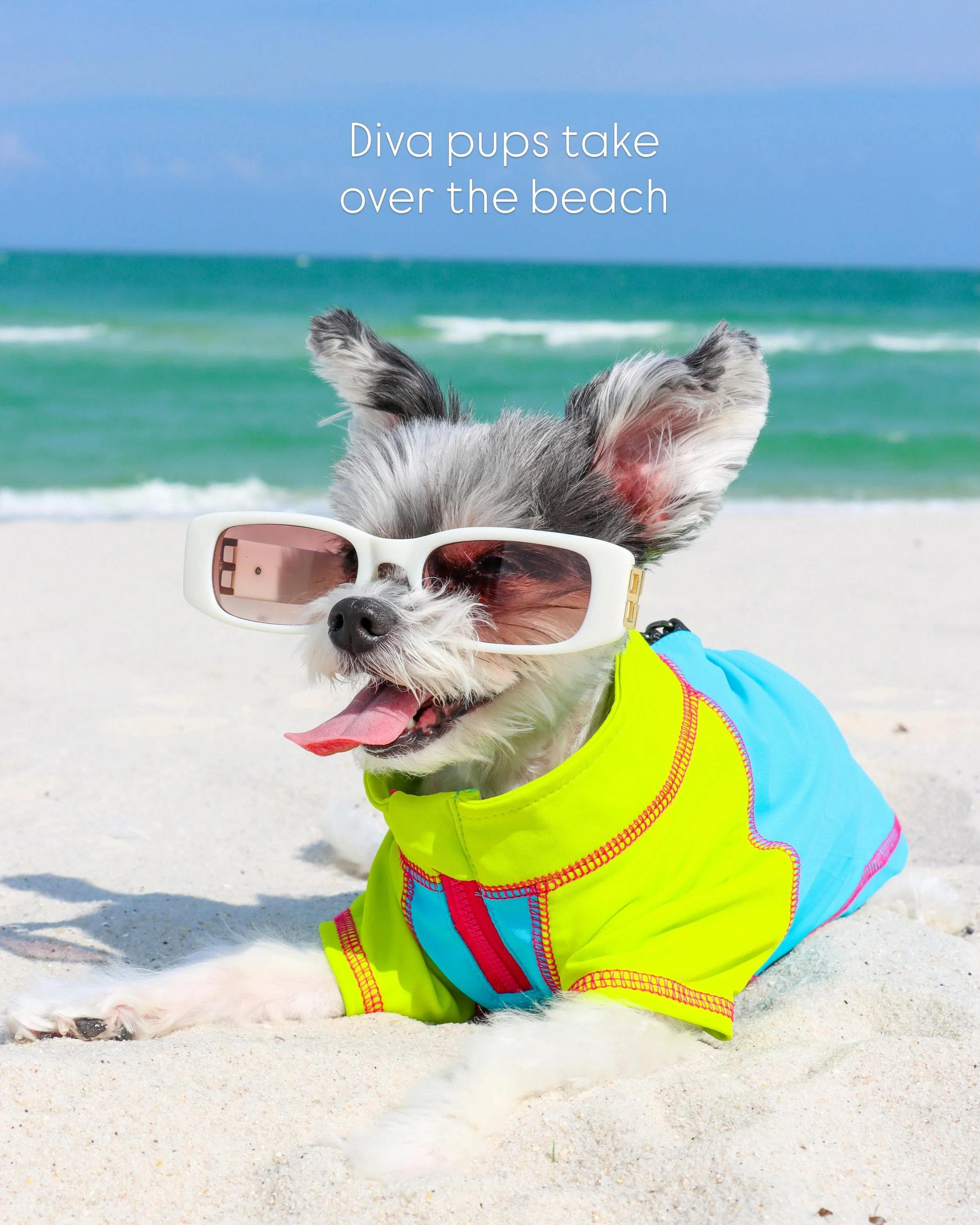 It&rsquo;s hard being this fabulous, but somebody has to do it 👑✨🐾🏖️

#summervibes☀️ #dogsofnyc #traveldog #dogsofinstagram