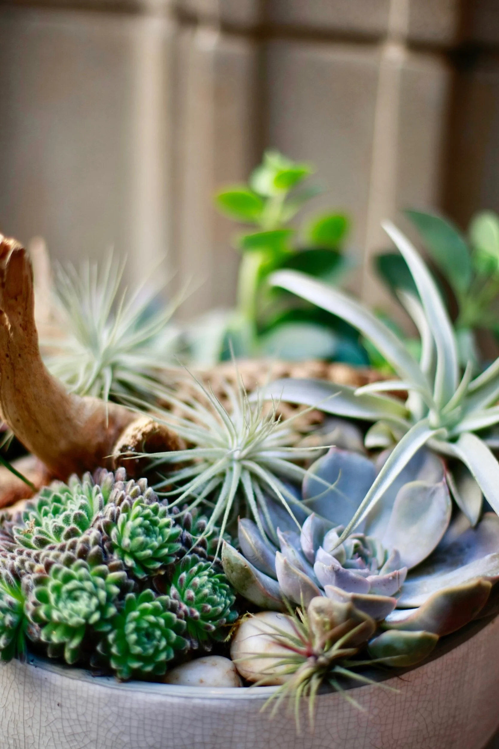 5BE5AB4B-C9C5-4833-B969-A334C08960CD