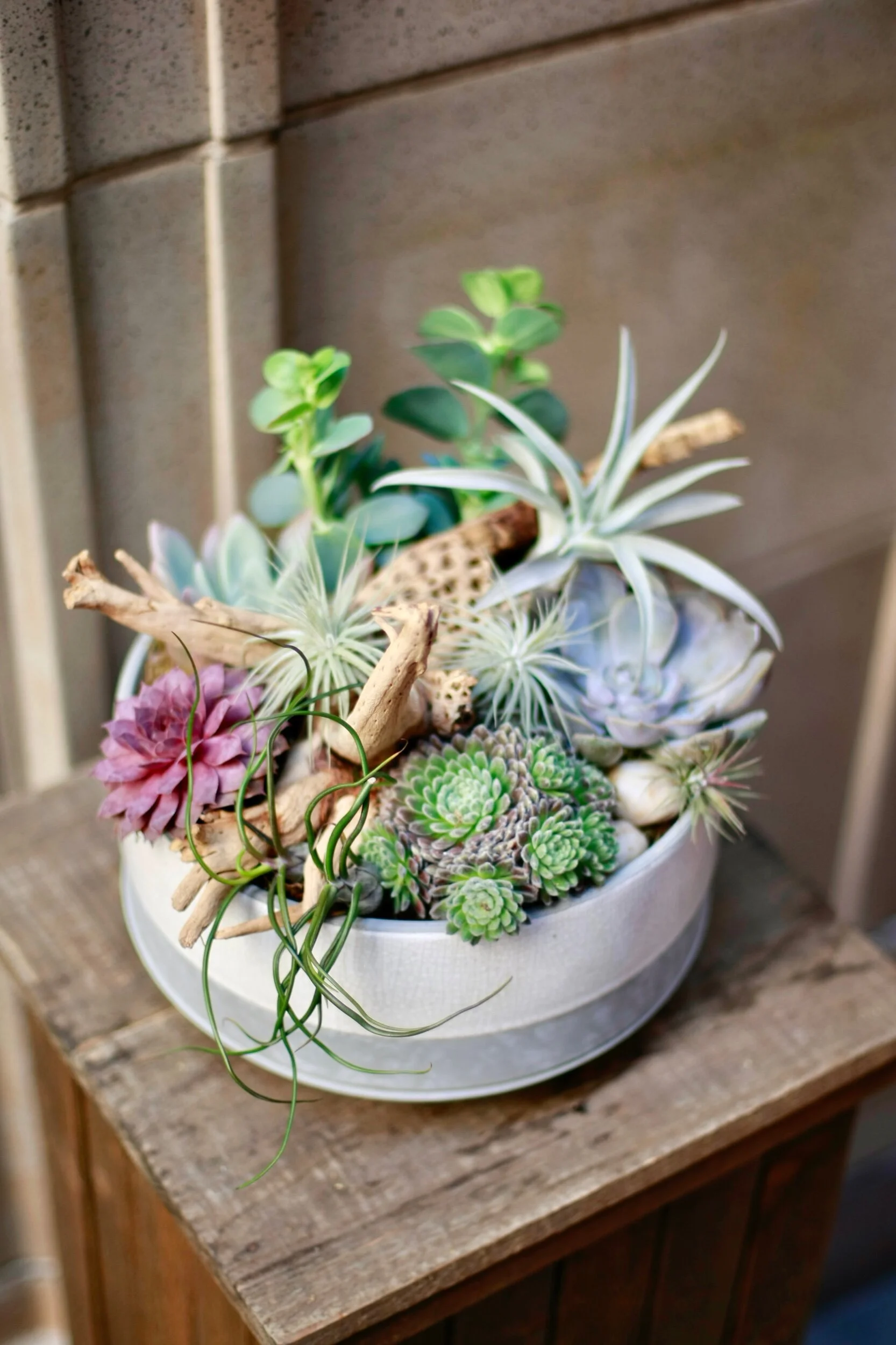 D786C402-F787-433C-A1A1-FCF15854FCAE