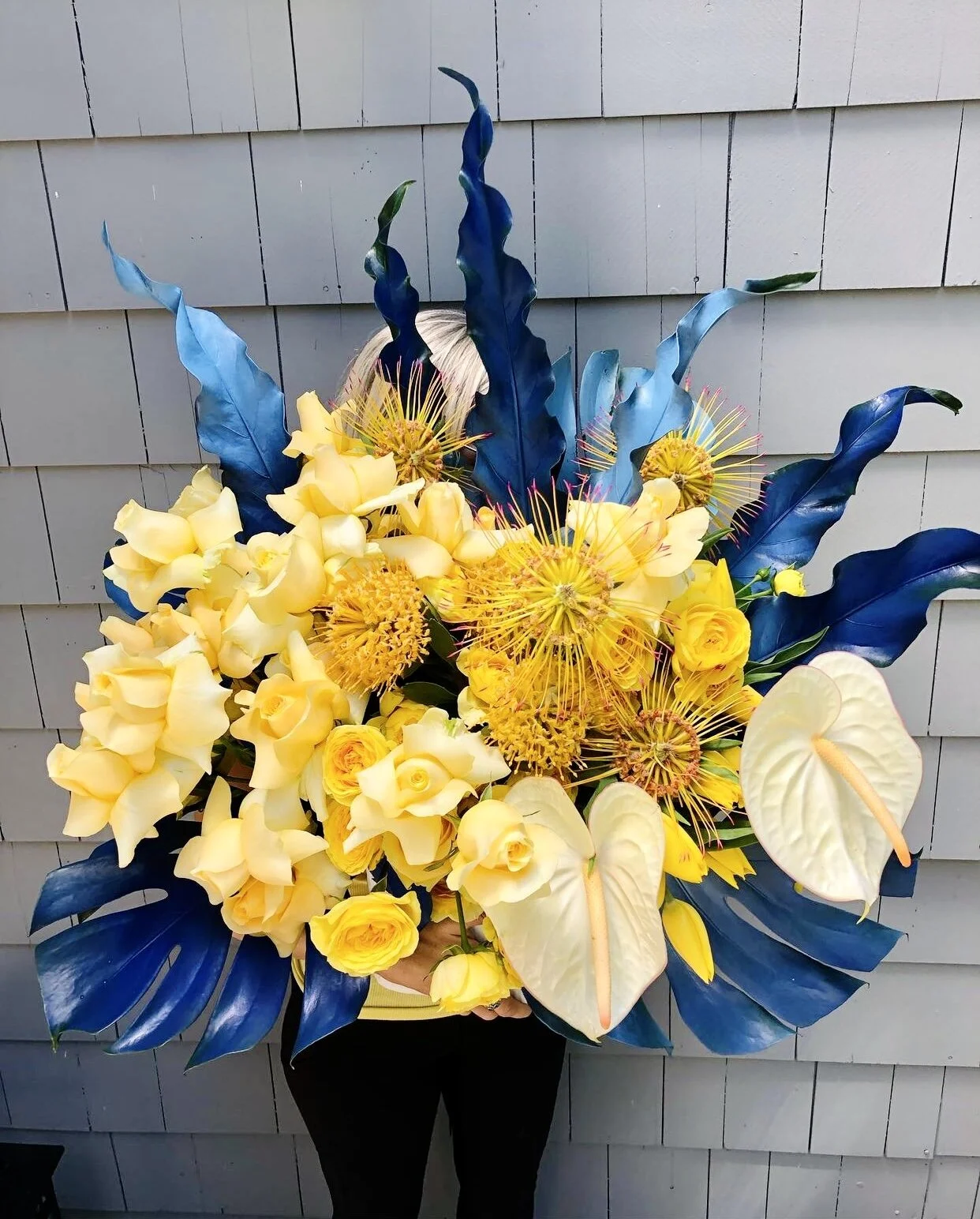 52D9D027-B5E5-48D5-AC6F-513BE894B612