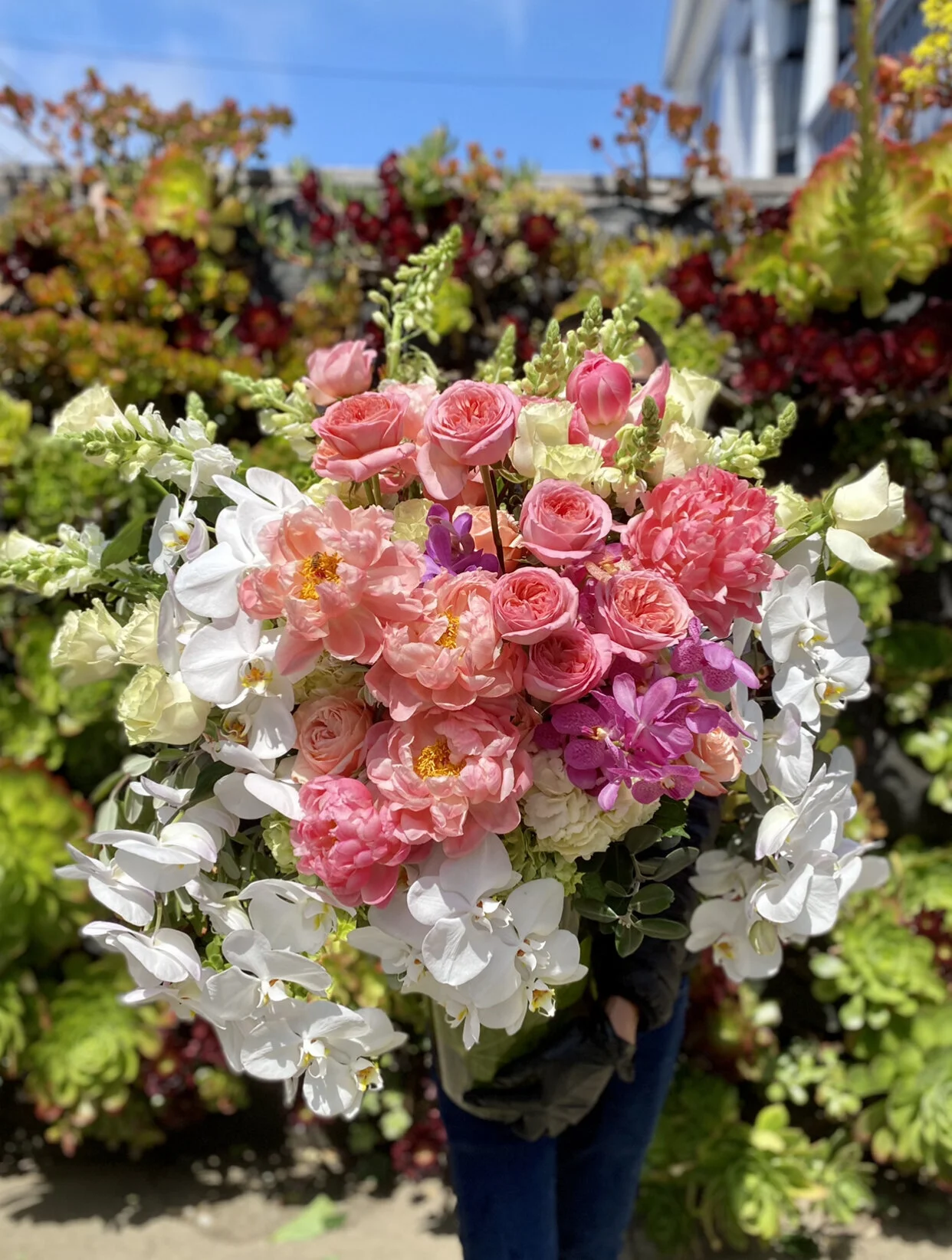 DD3823C1-3518-4442-AE49-AC1852AED3D9