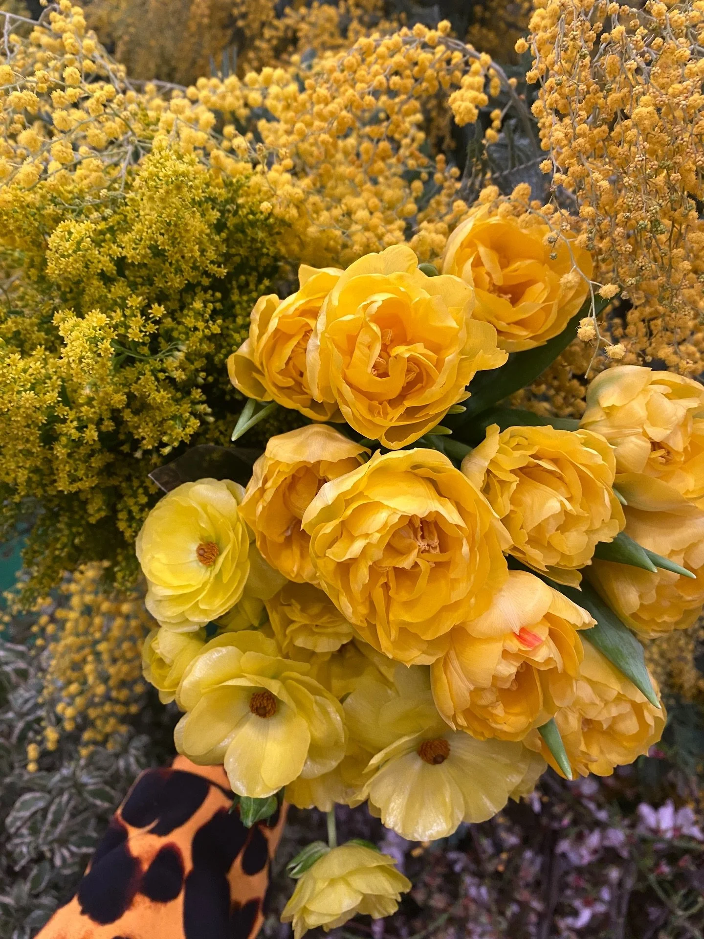 #yellowflowers