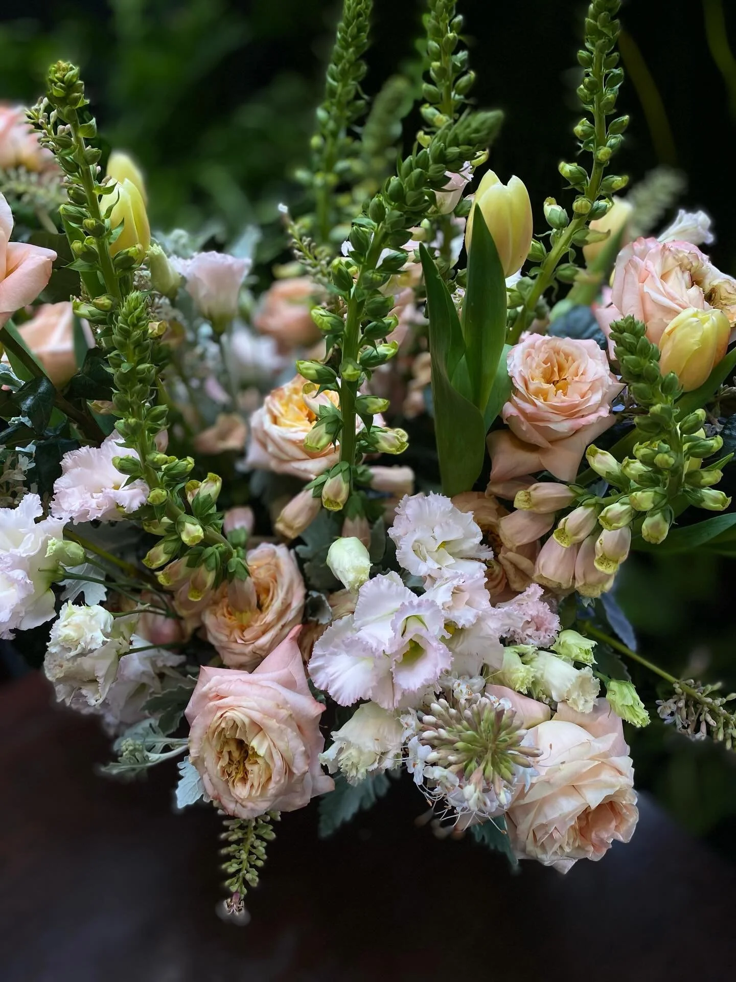 Blush roses, ruffled lisianthus, and dancing  foxglove
#noovobloom