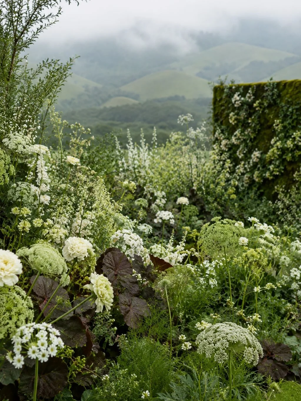 #green and #wild