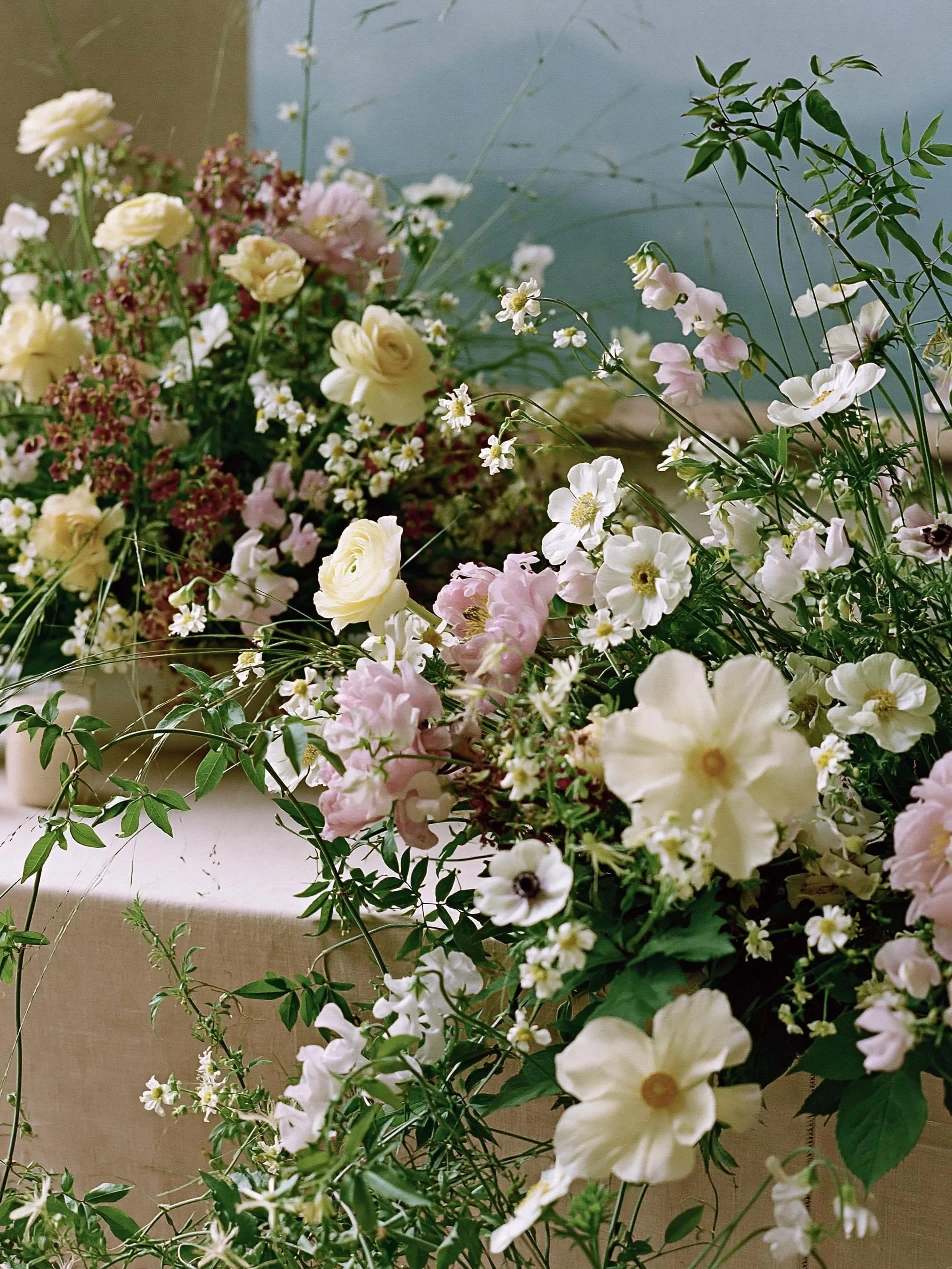 floral study in the style wild garden , simple layer petal flowers , california summer dream