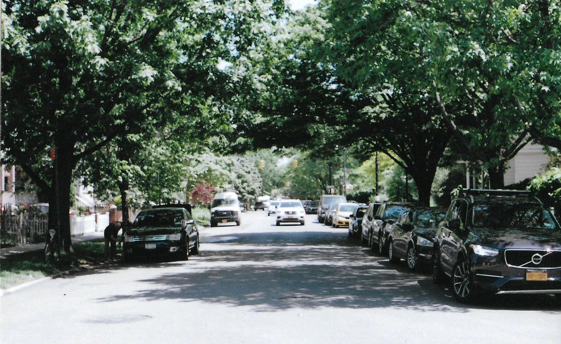 film[1.9].jpg