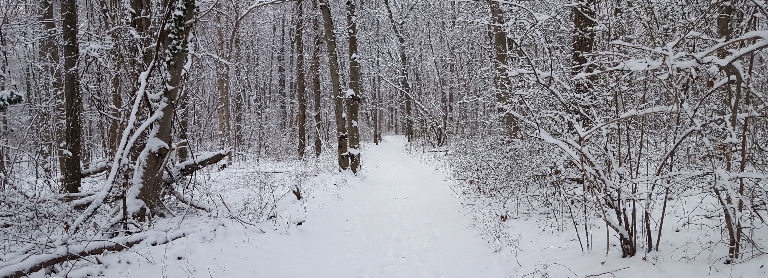 20170131_164650.jpg