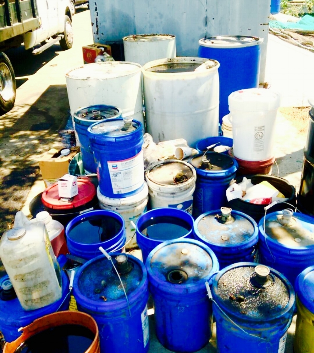 POLA - Pic - Fishshed before.jpg