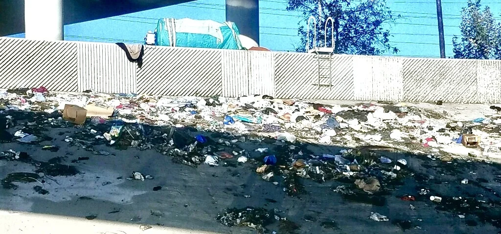 Homeless - 0 guys trash.jpg