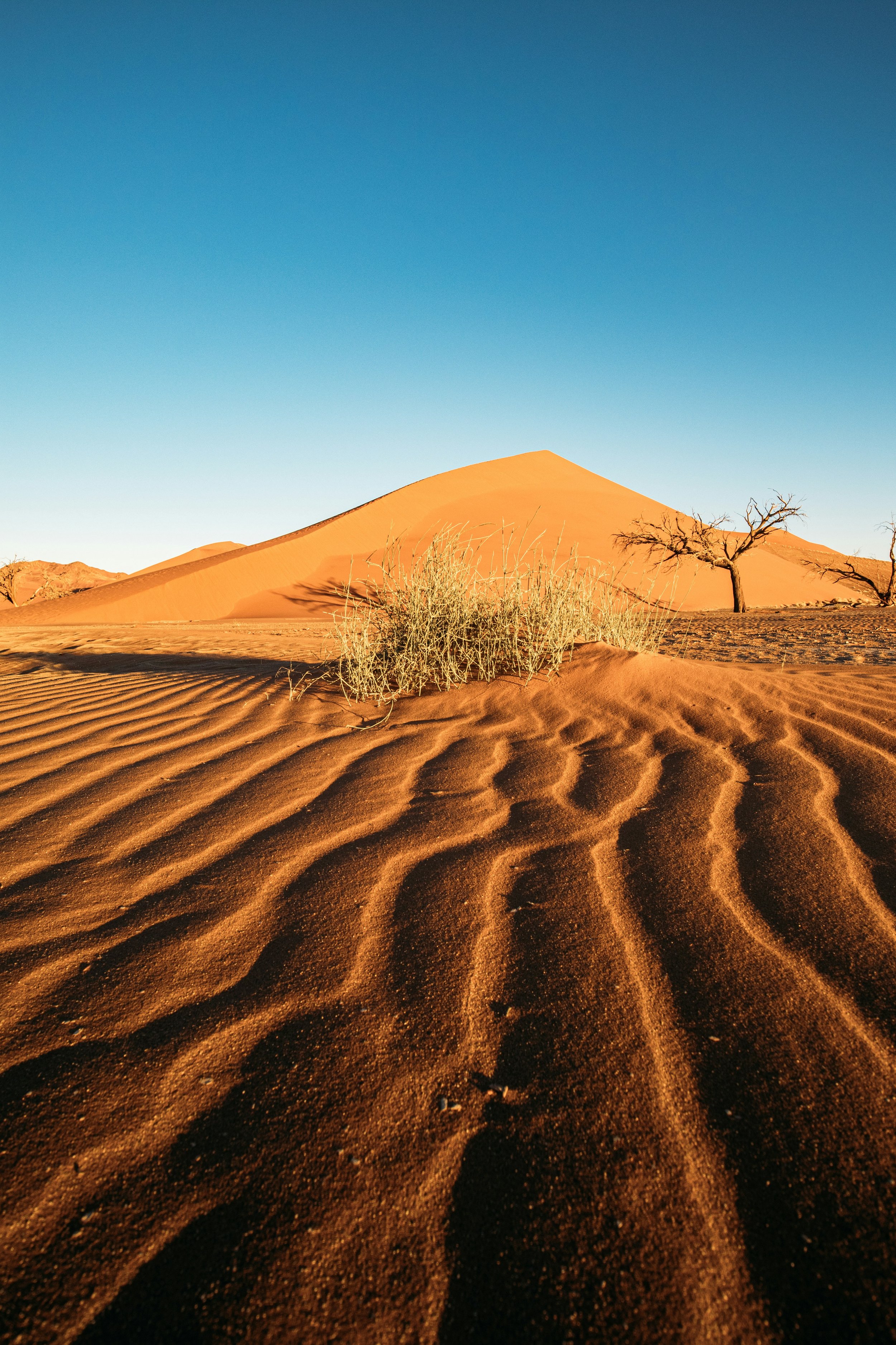 Healing with Nature :: Lessons from Mother Earth