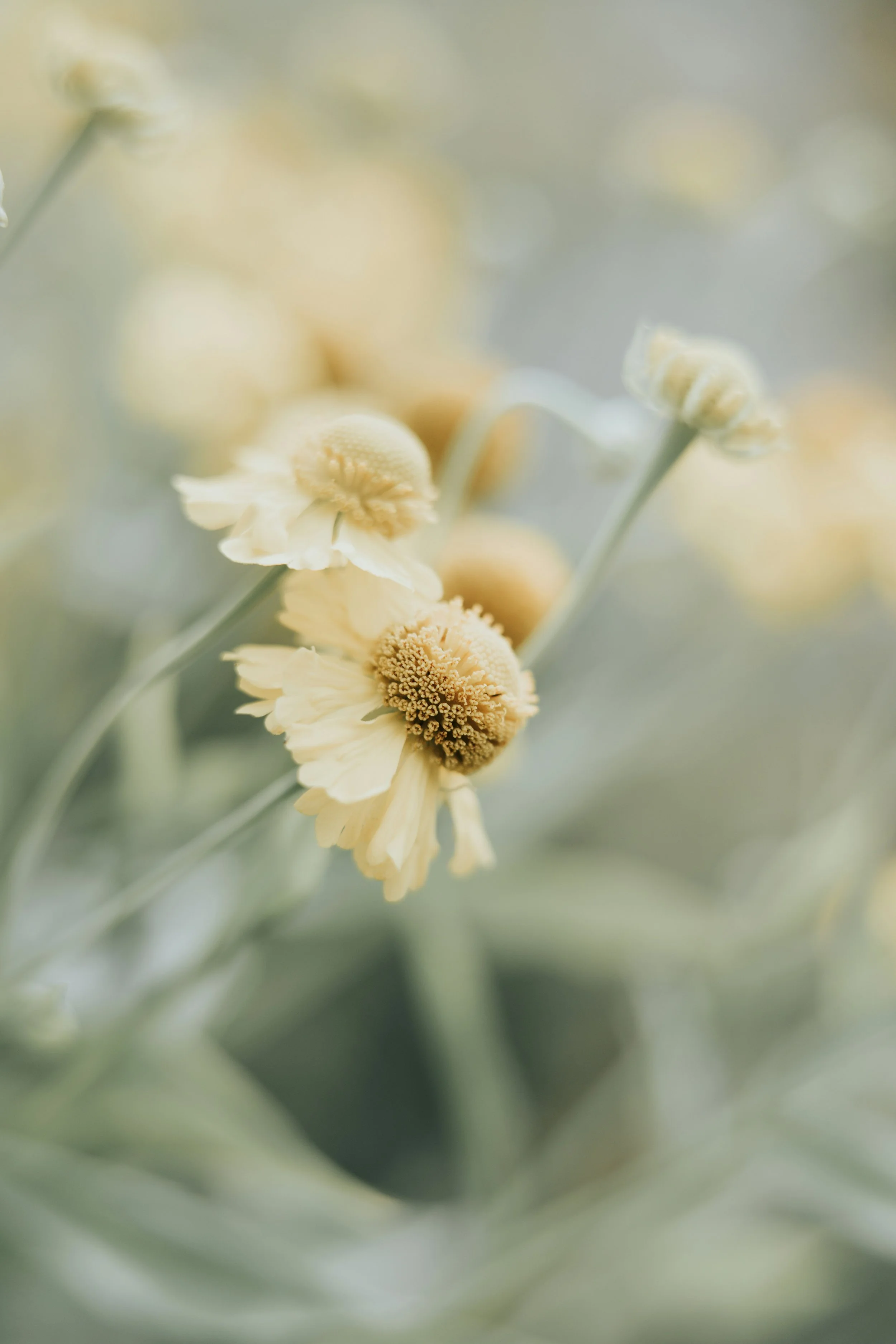 Trauma, (Harmful) Theology, and Healing