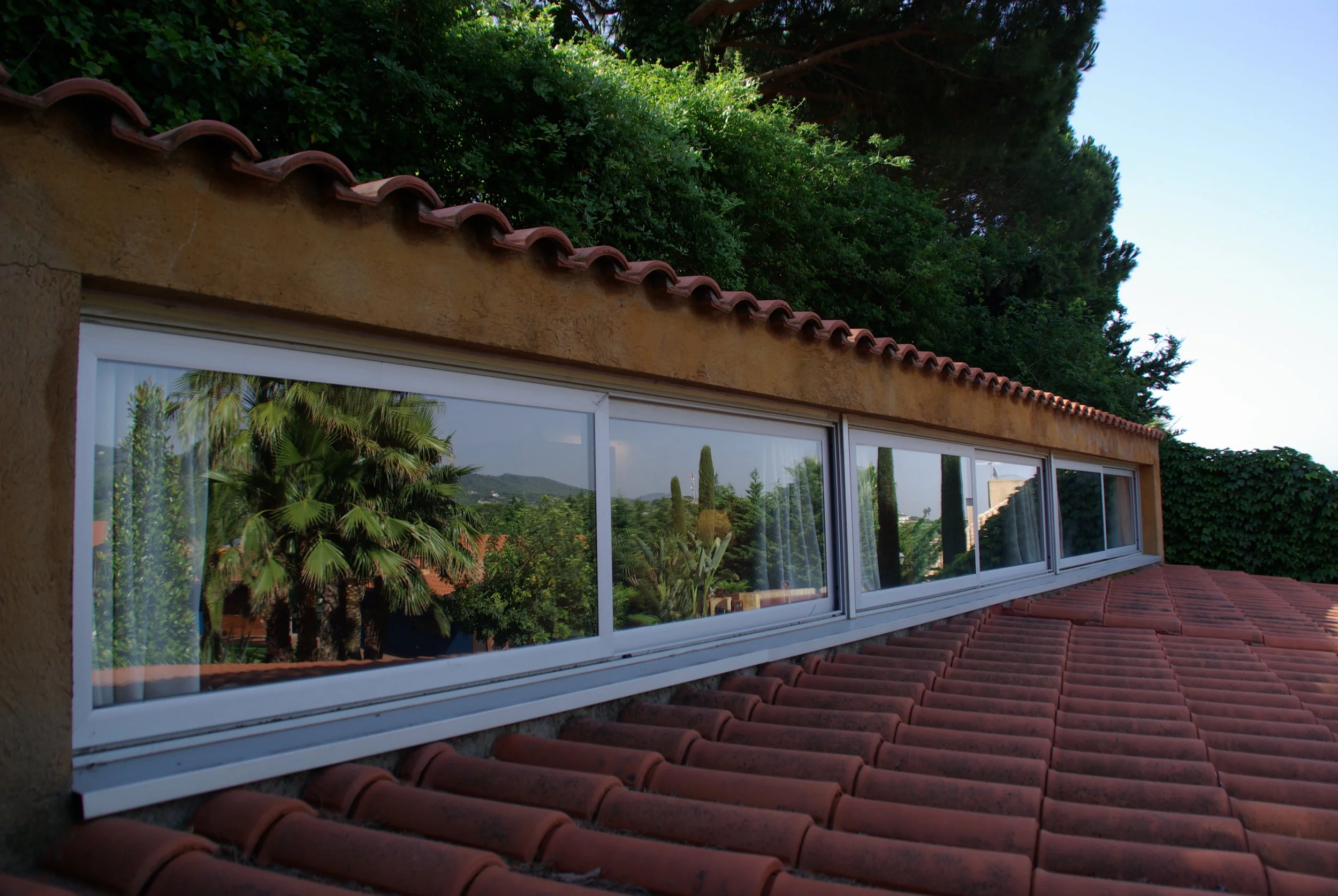 IMGP5926 - copia.JPG