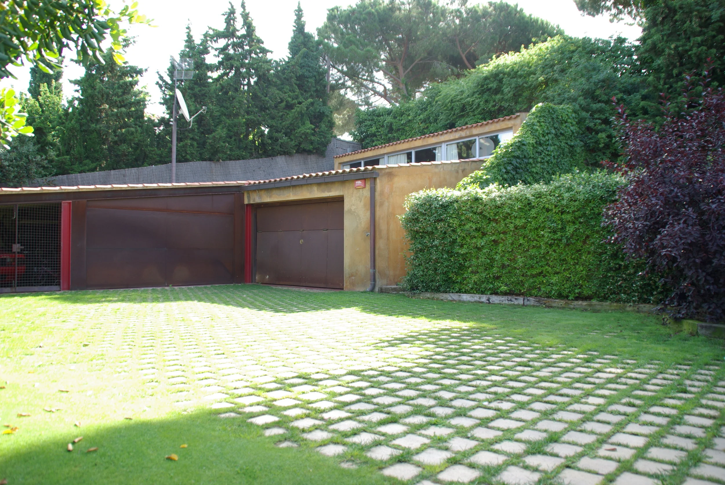 IMGP5881.JPG