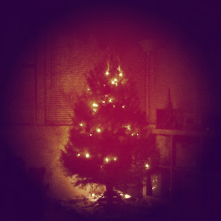 In the evening when our Christmas tree is lit will forever be my favorite.