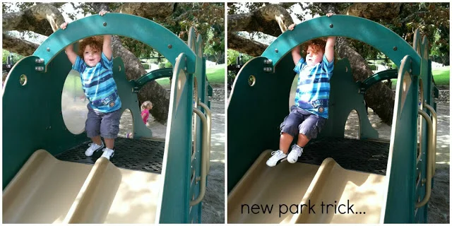 parkCollage.jpg