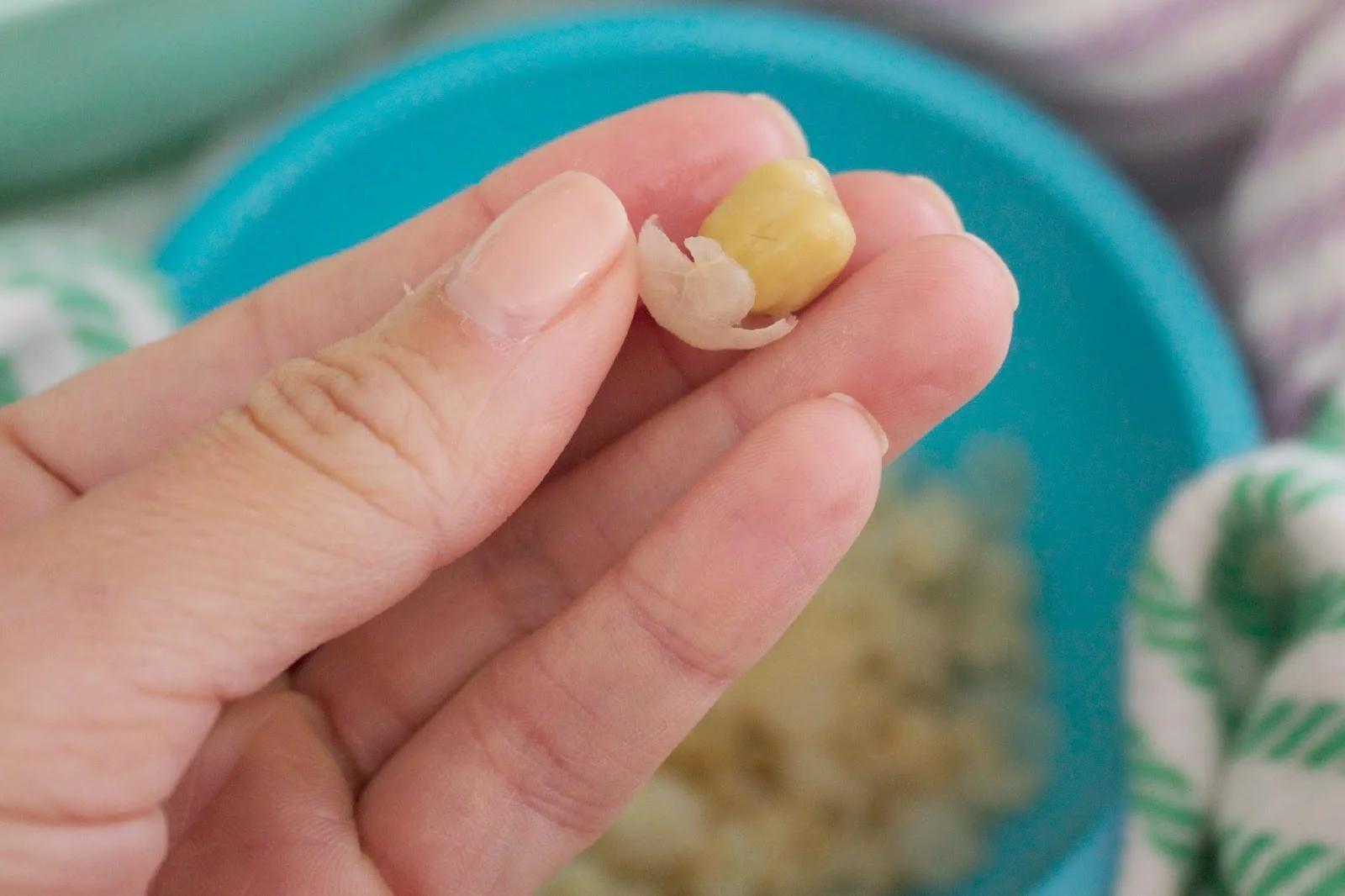 chickpea1.jpg
