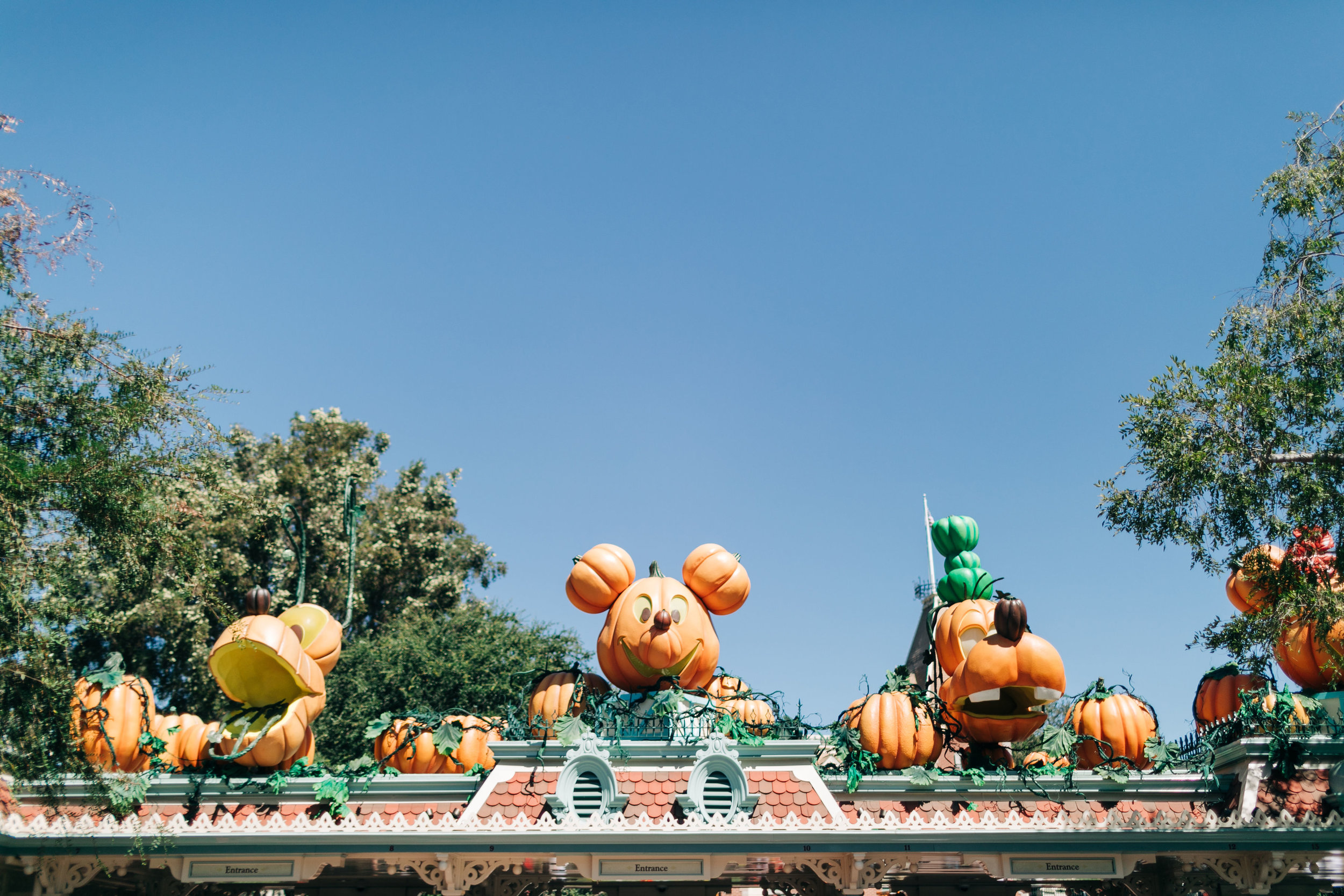 Disneyland_Halloween-LilyRoPhotography-1.jpg