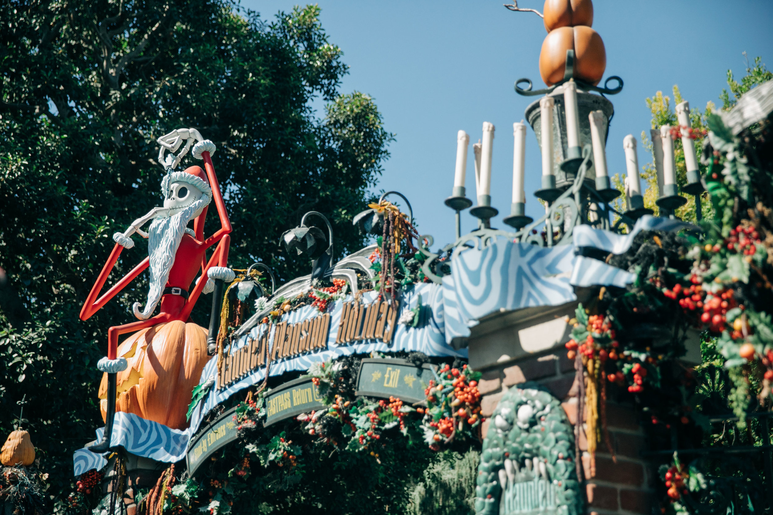 Disneyland_Halloween-LilyRoPhotography-85.jpg