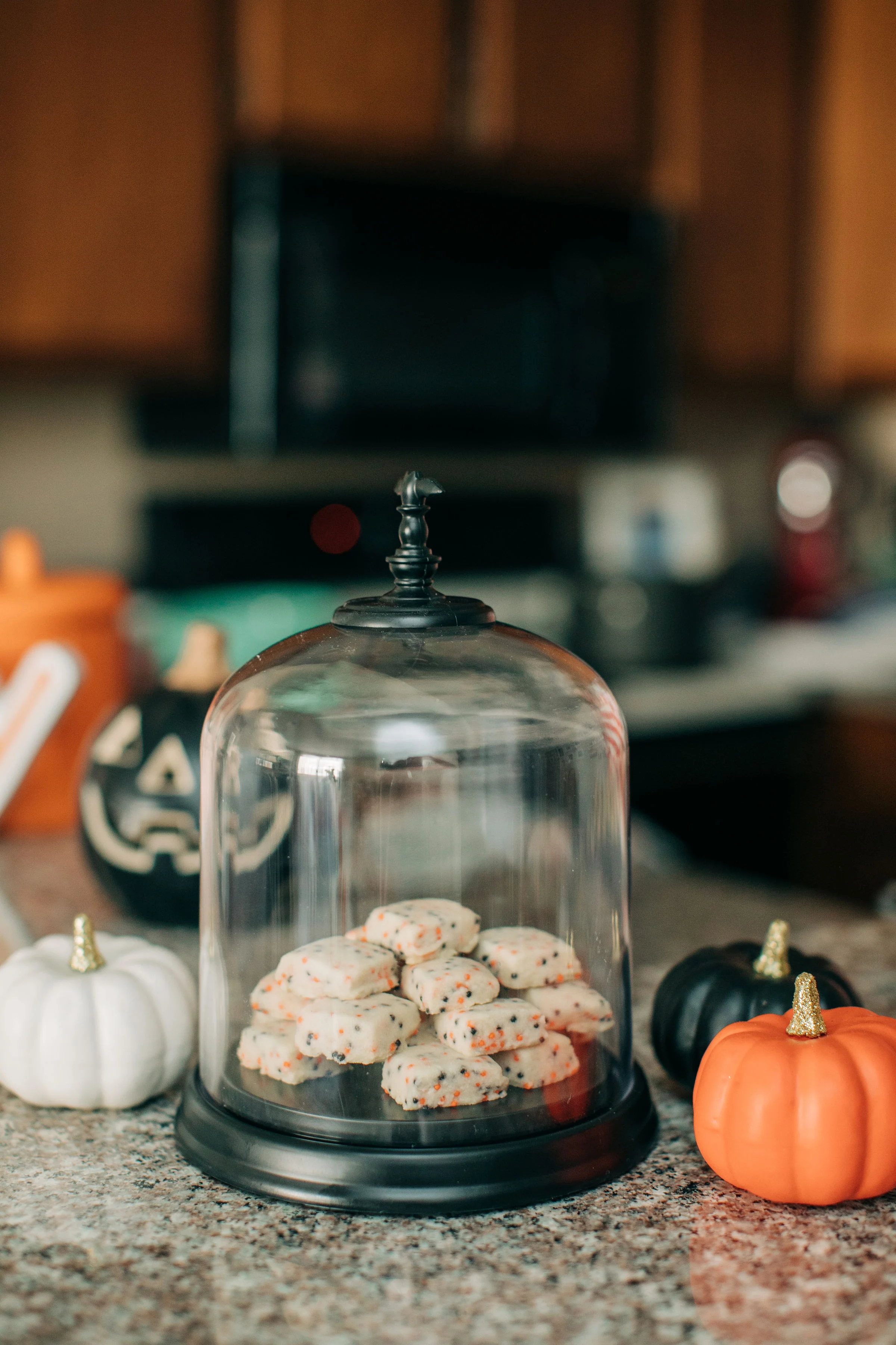 Baby_Boy_Bakery_Halloween_Cookies_Lily_Ro_Photography-2102.jpg
