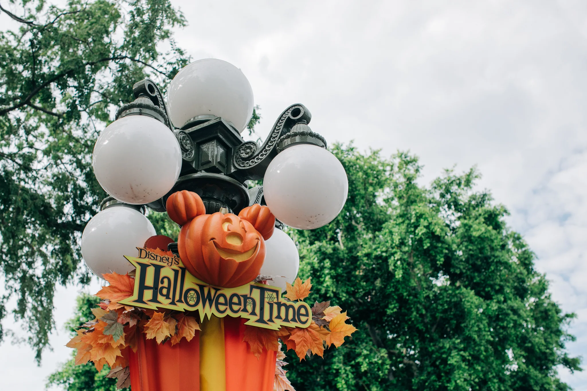 BabyBoyBakery_Disneyland_LilyRo-5.jpg