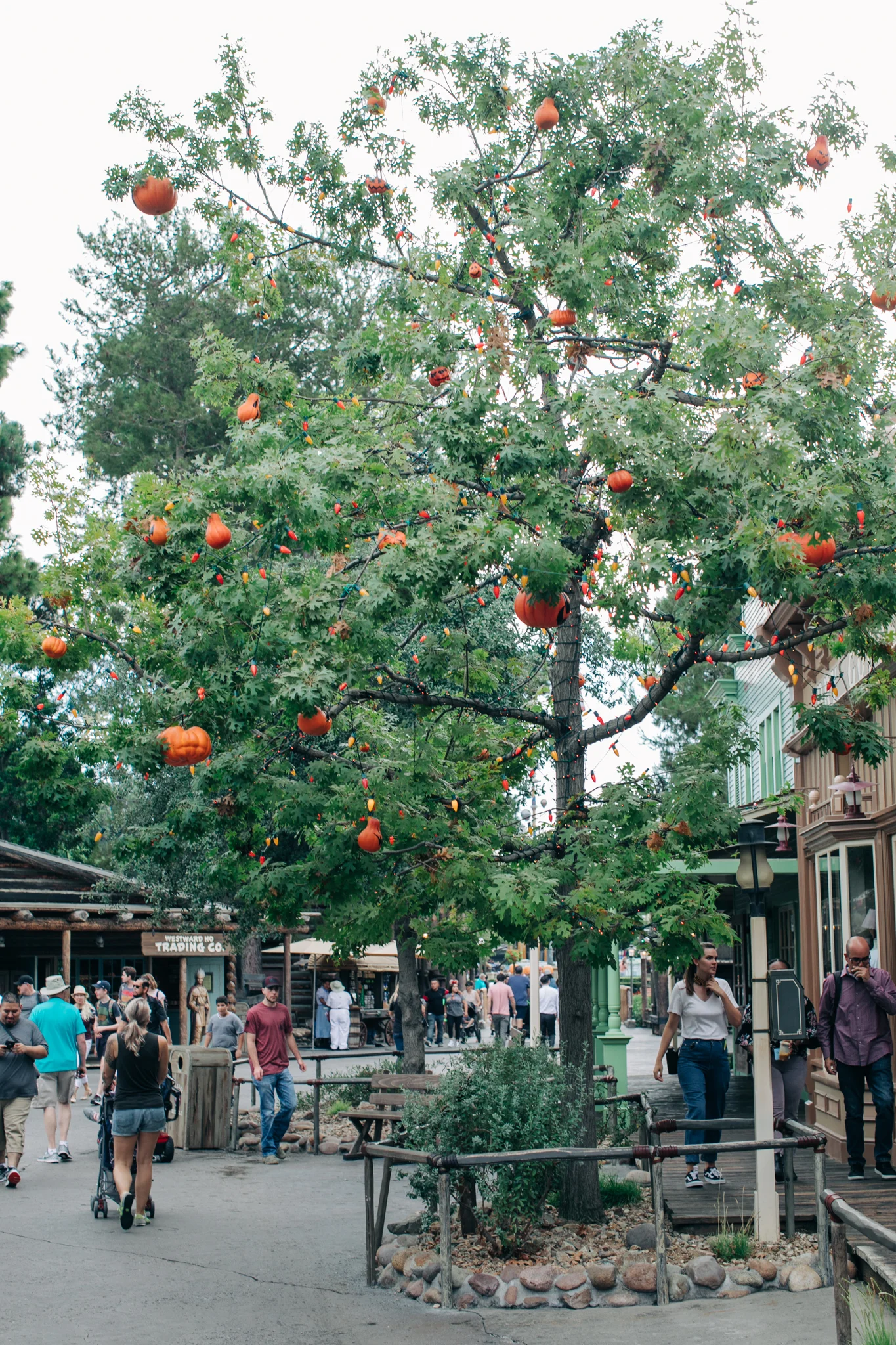 BabyBoyBakery_Disneyland_LilyRo-61.jpg