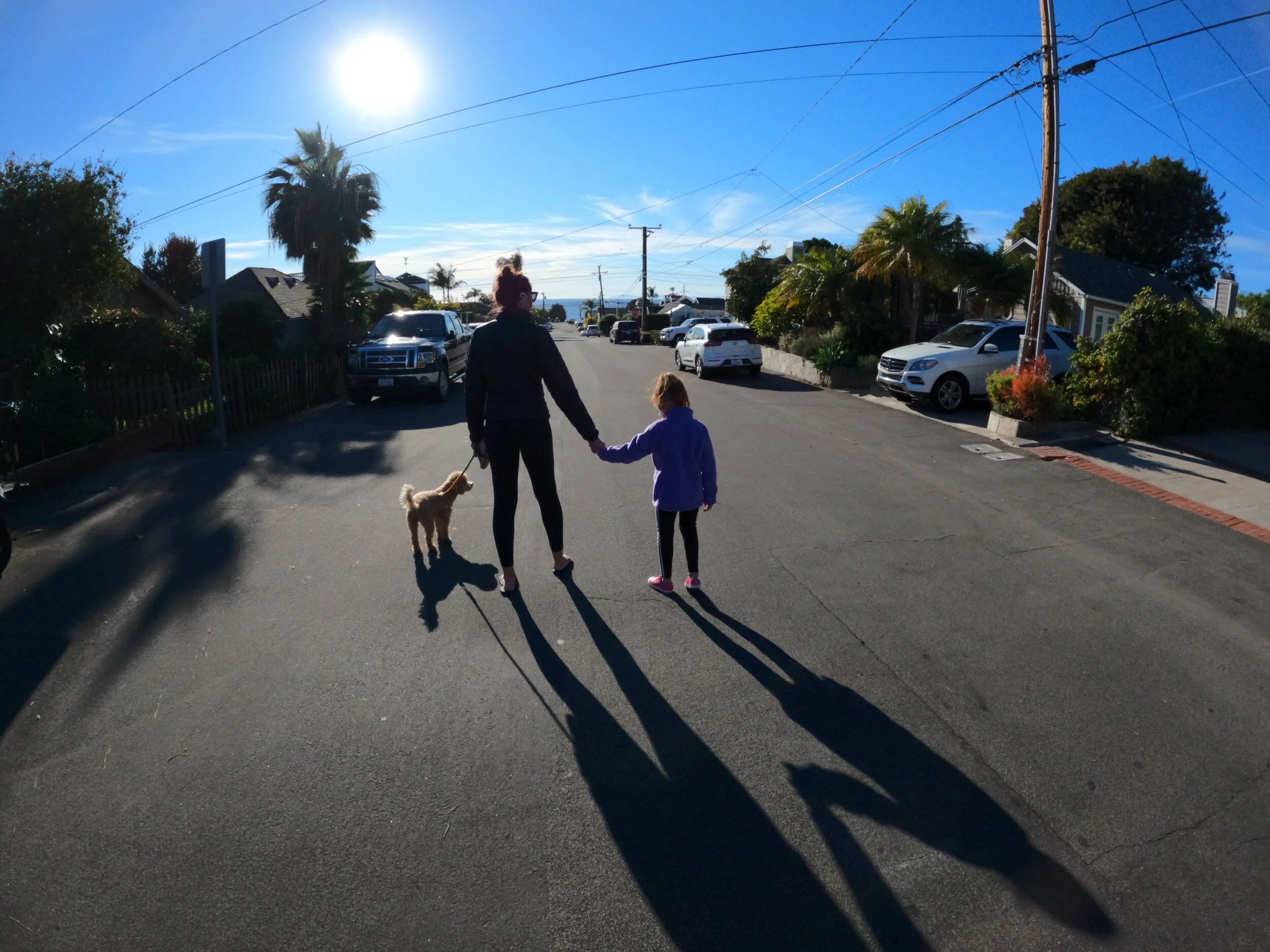 Let's Call A Family Meeting