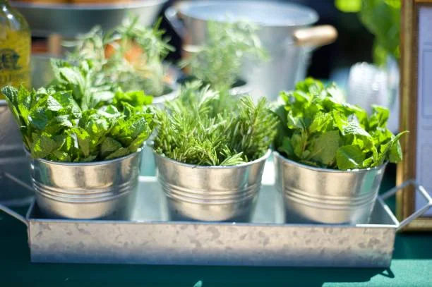 The forgotten Power of herbs and spices!