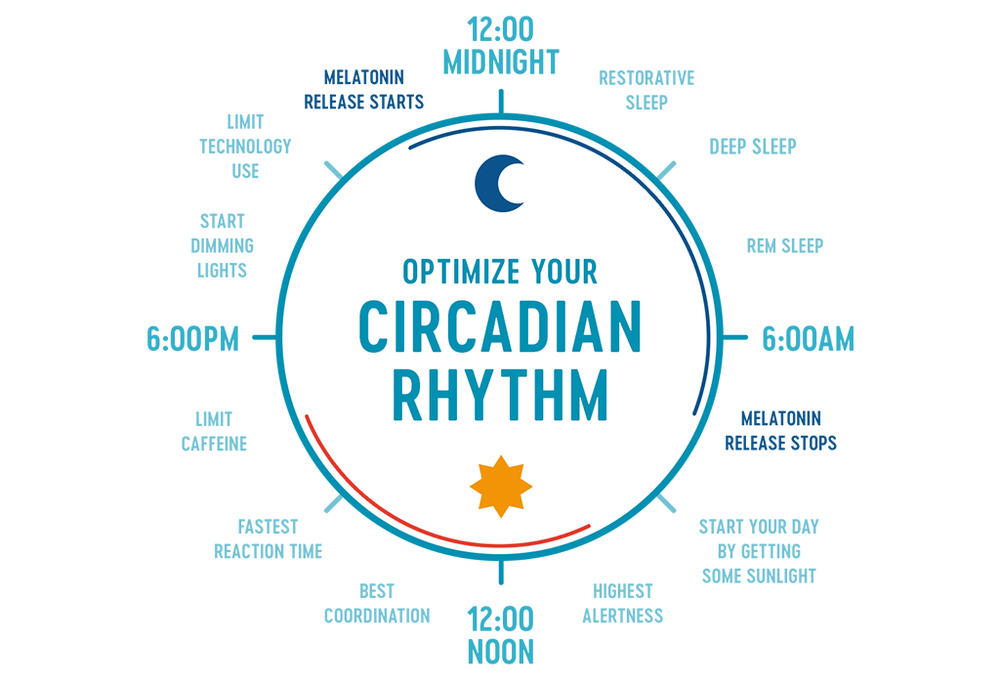 What is your Circadian Rhythm? — Tray Wellness