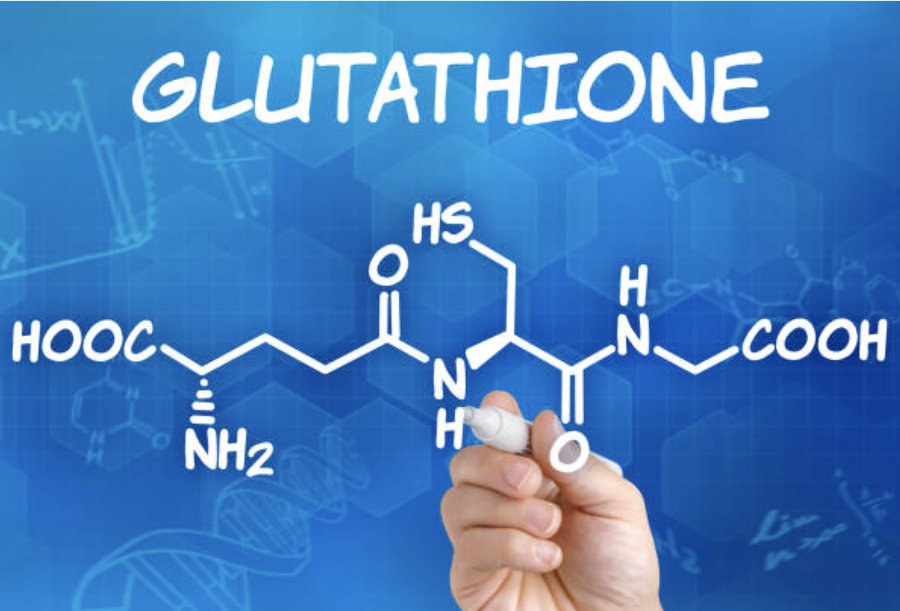 GSTP1 – Strengthening Your Inner Detox Network