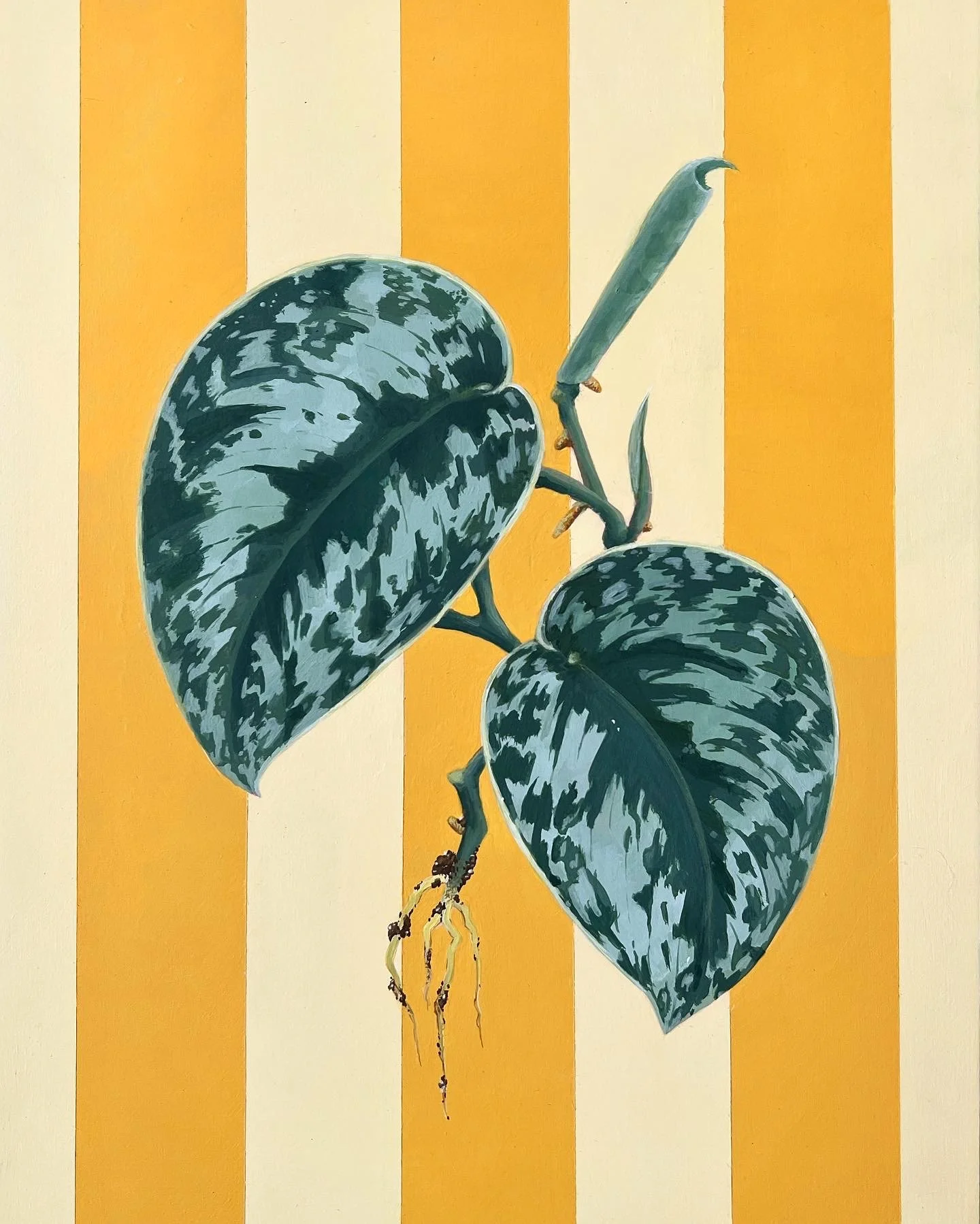 Scindapsus Pictus, Guache Painting