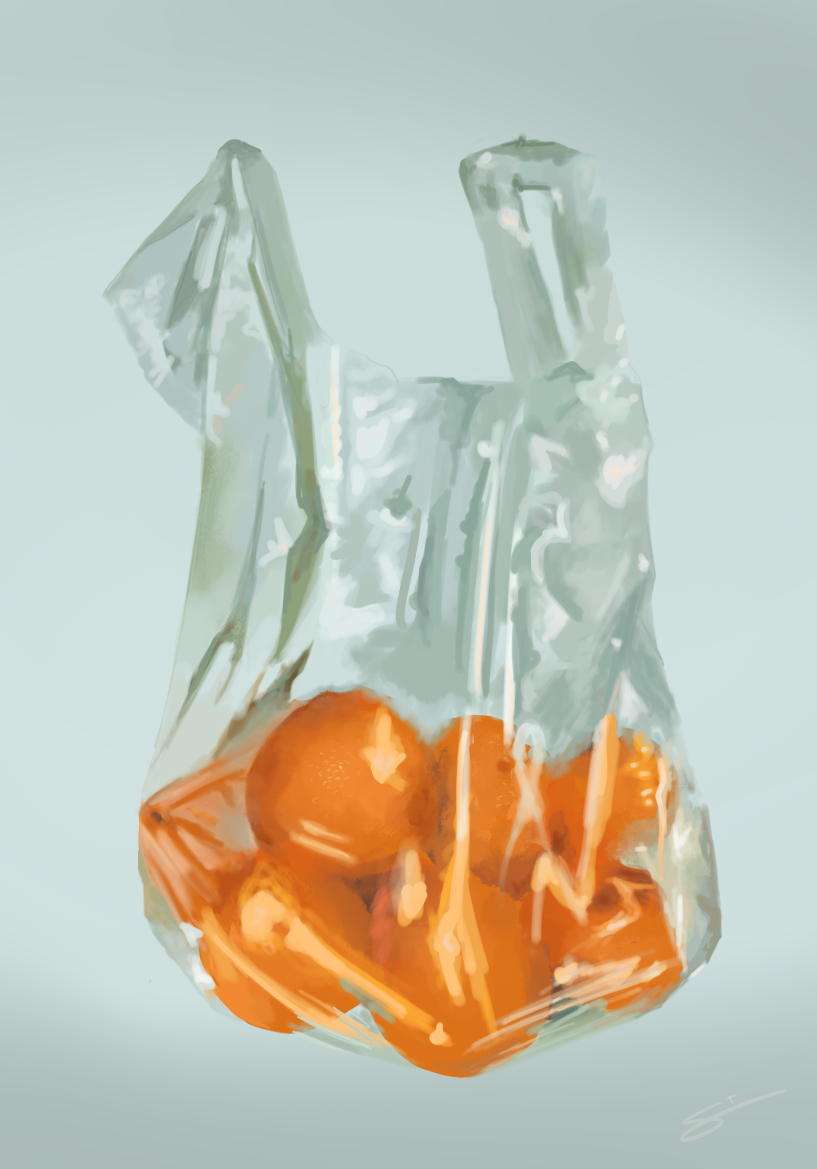 Orange Study, 2023 Digital Illustration