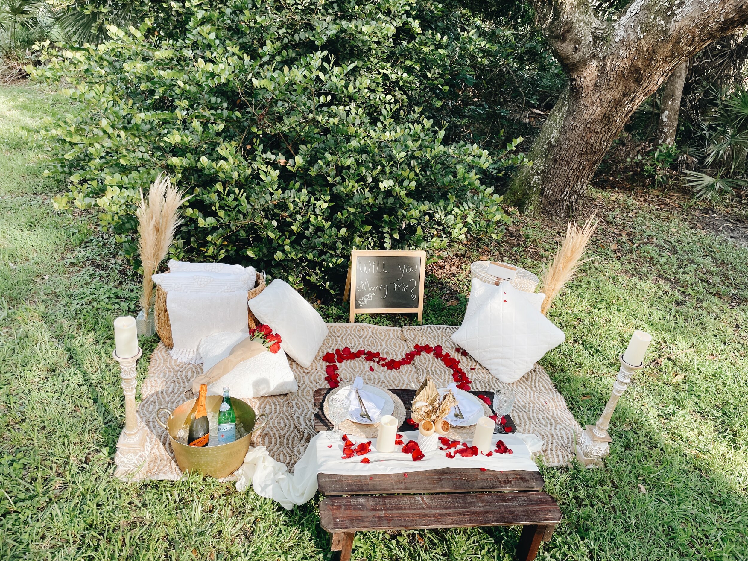 Luxury Picnic Proposal